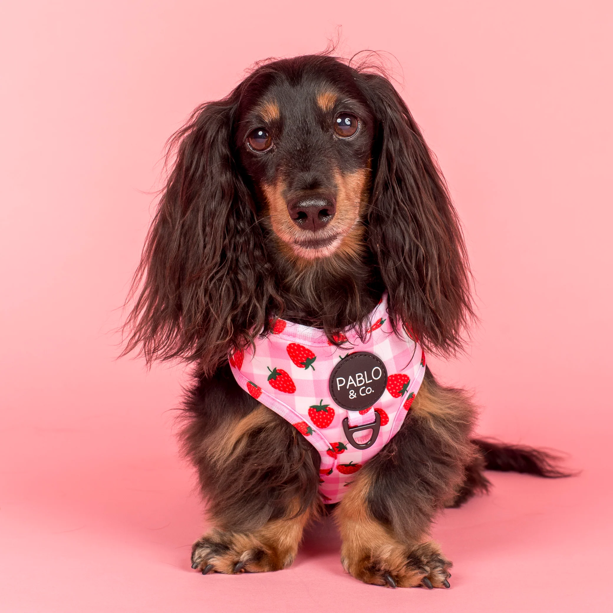 Strawberry Fields: Adjustable Harness