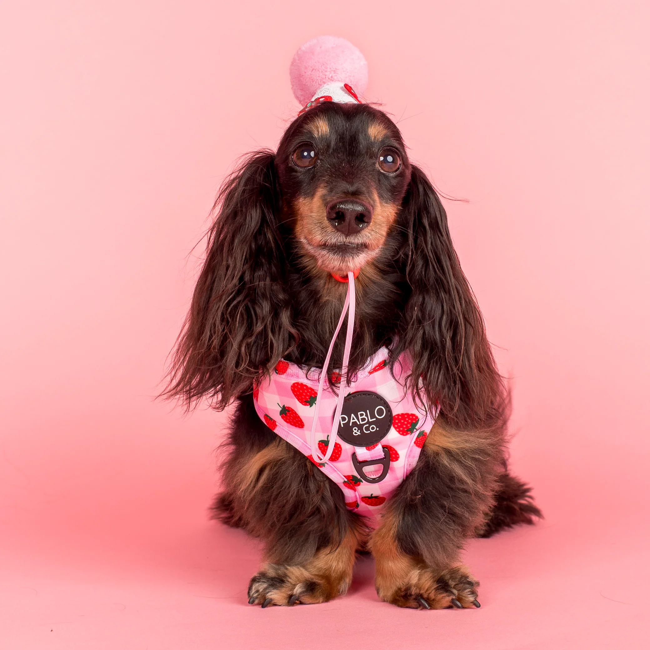 Strawberry Fields: Adjustable Harness - Image 2