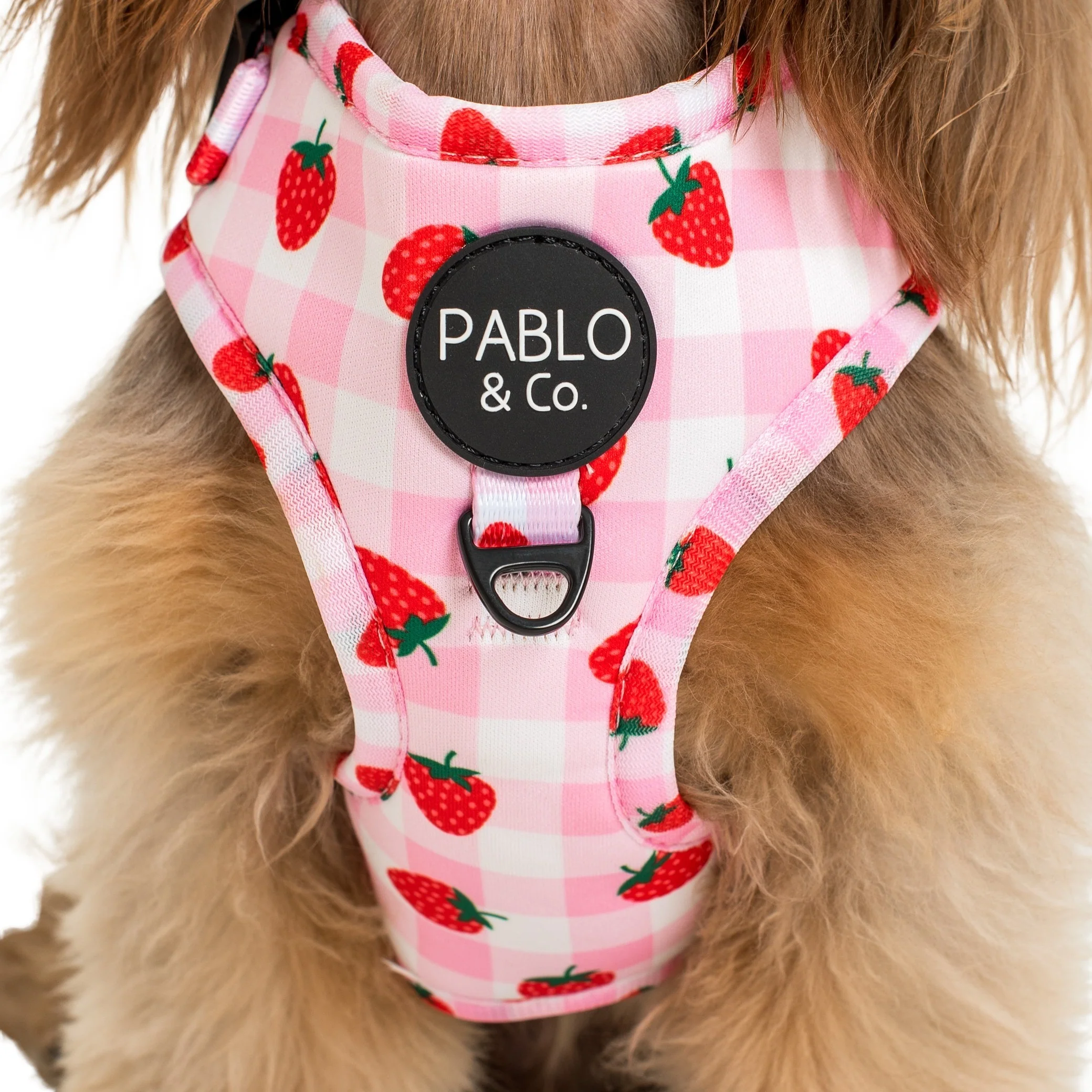 Strawberry Fields: Adjustable Harness - Image 3