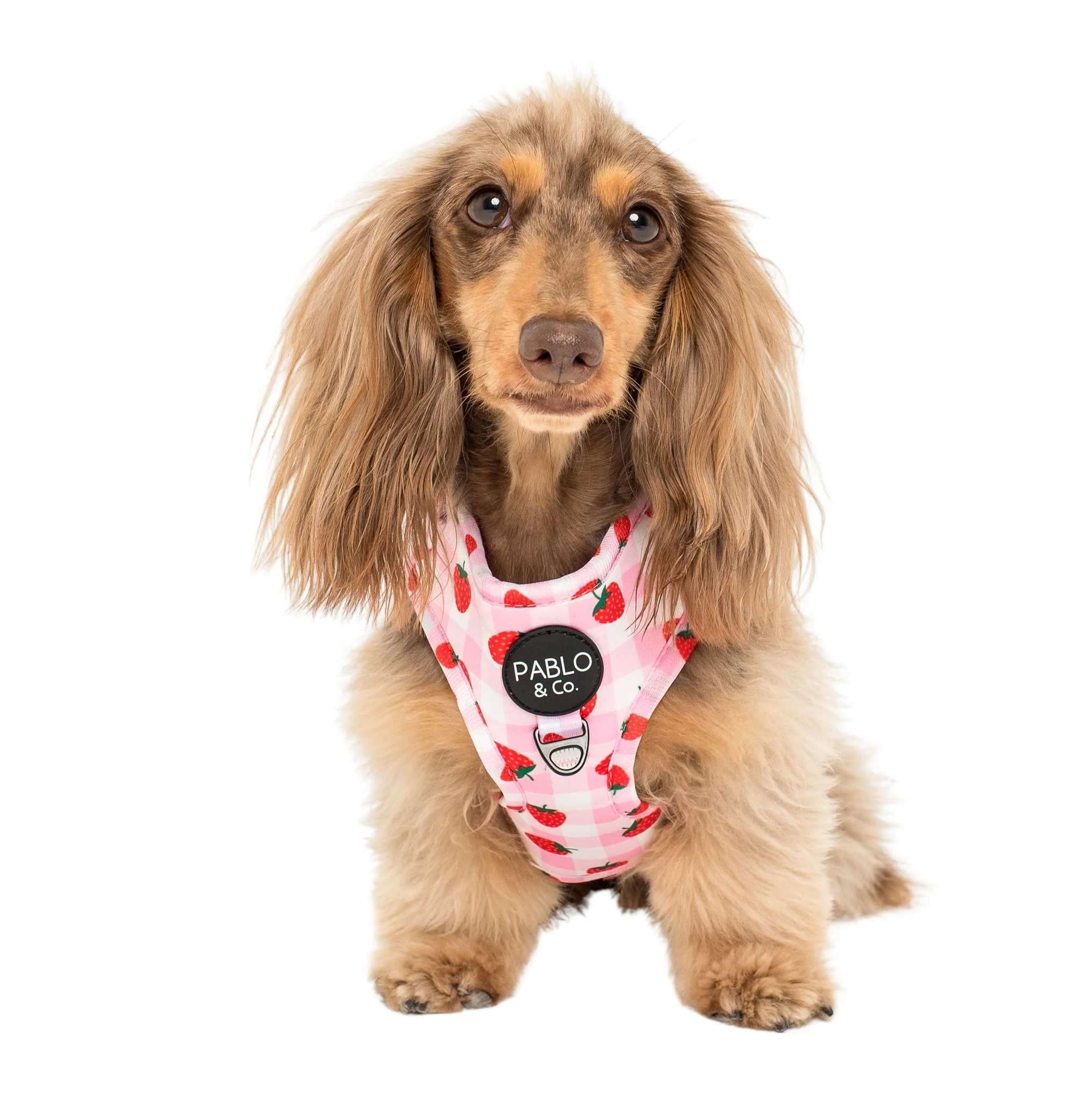 Strawberry Fields: Adjustable Harness - Image 5