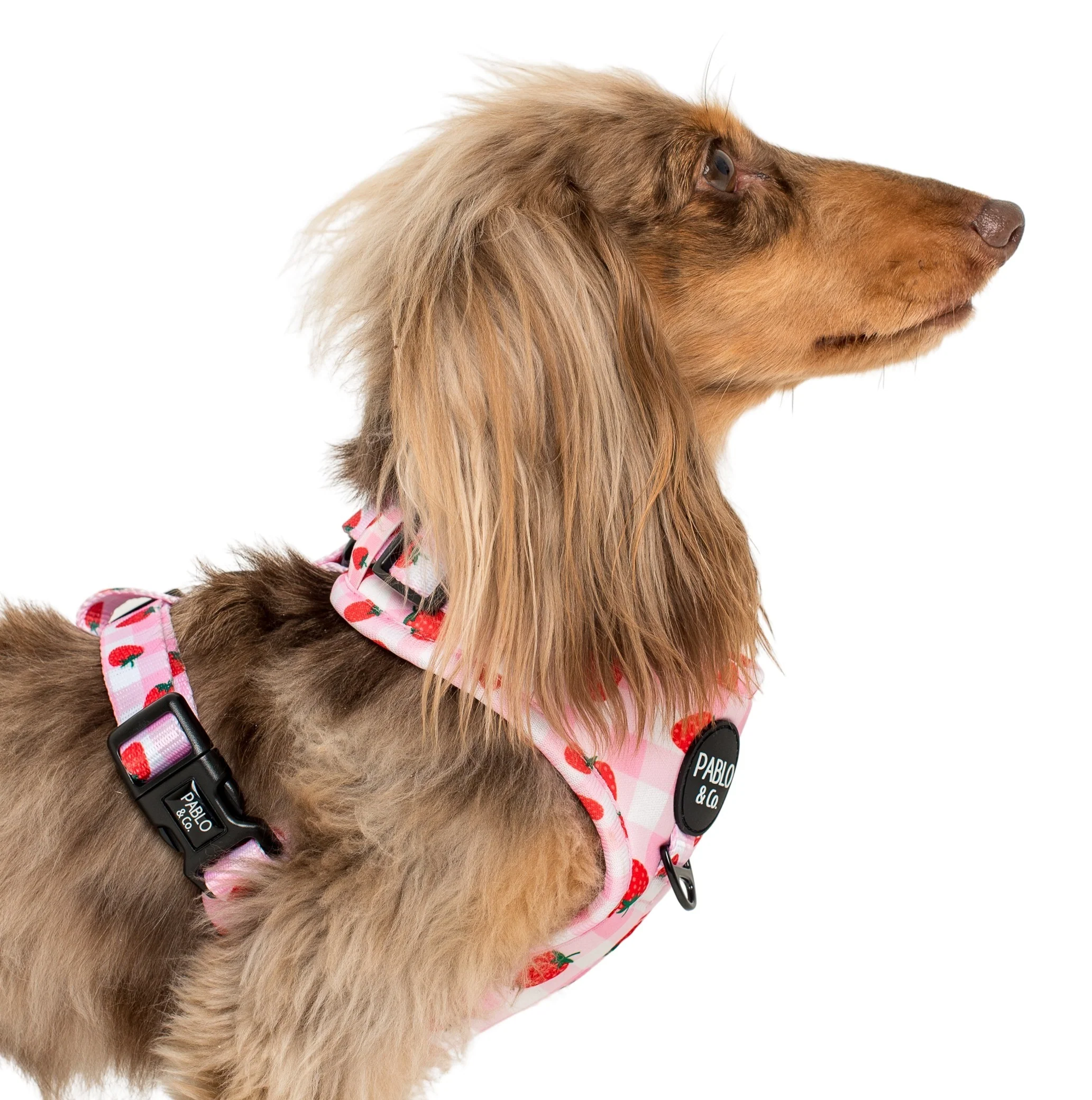 Strawberry Fields: Adjustable Harness - Image 6