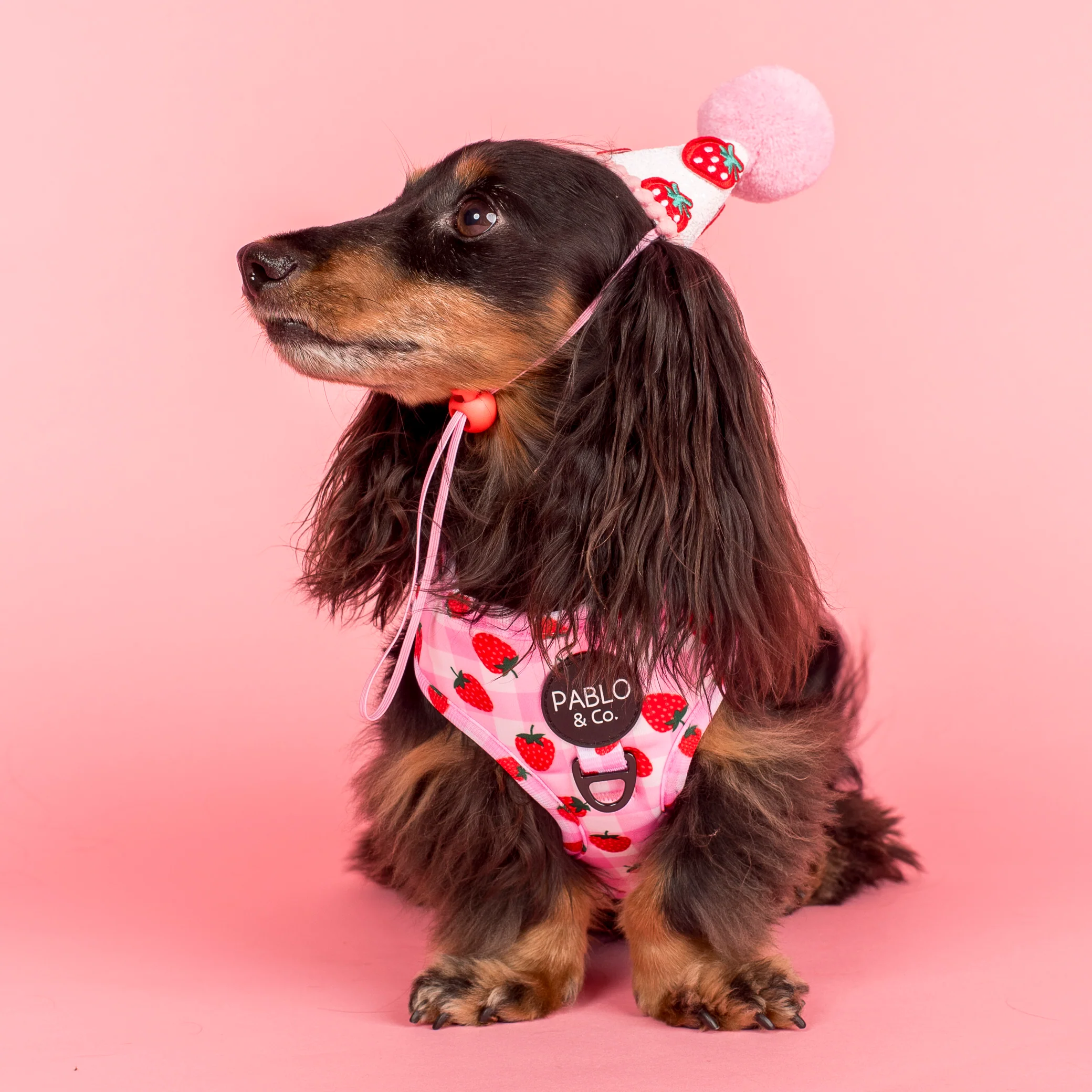 Strawberry Fields: Adjustable Harness - Image 7