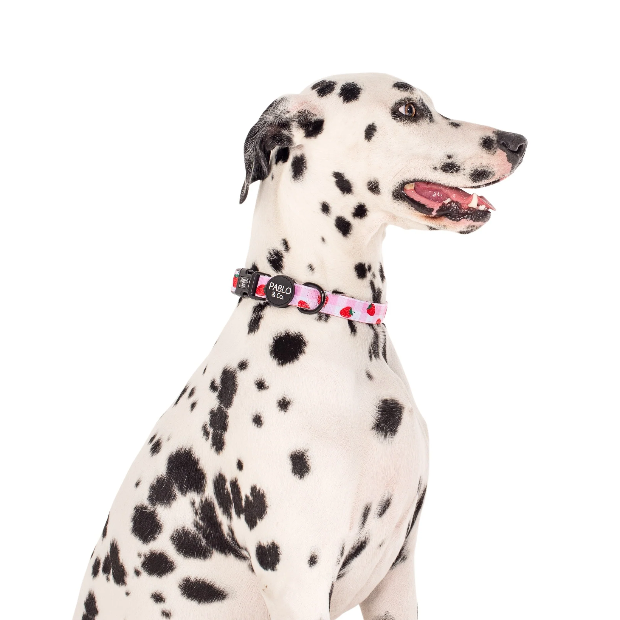 Strawberry Fields: Collar - Image 2