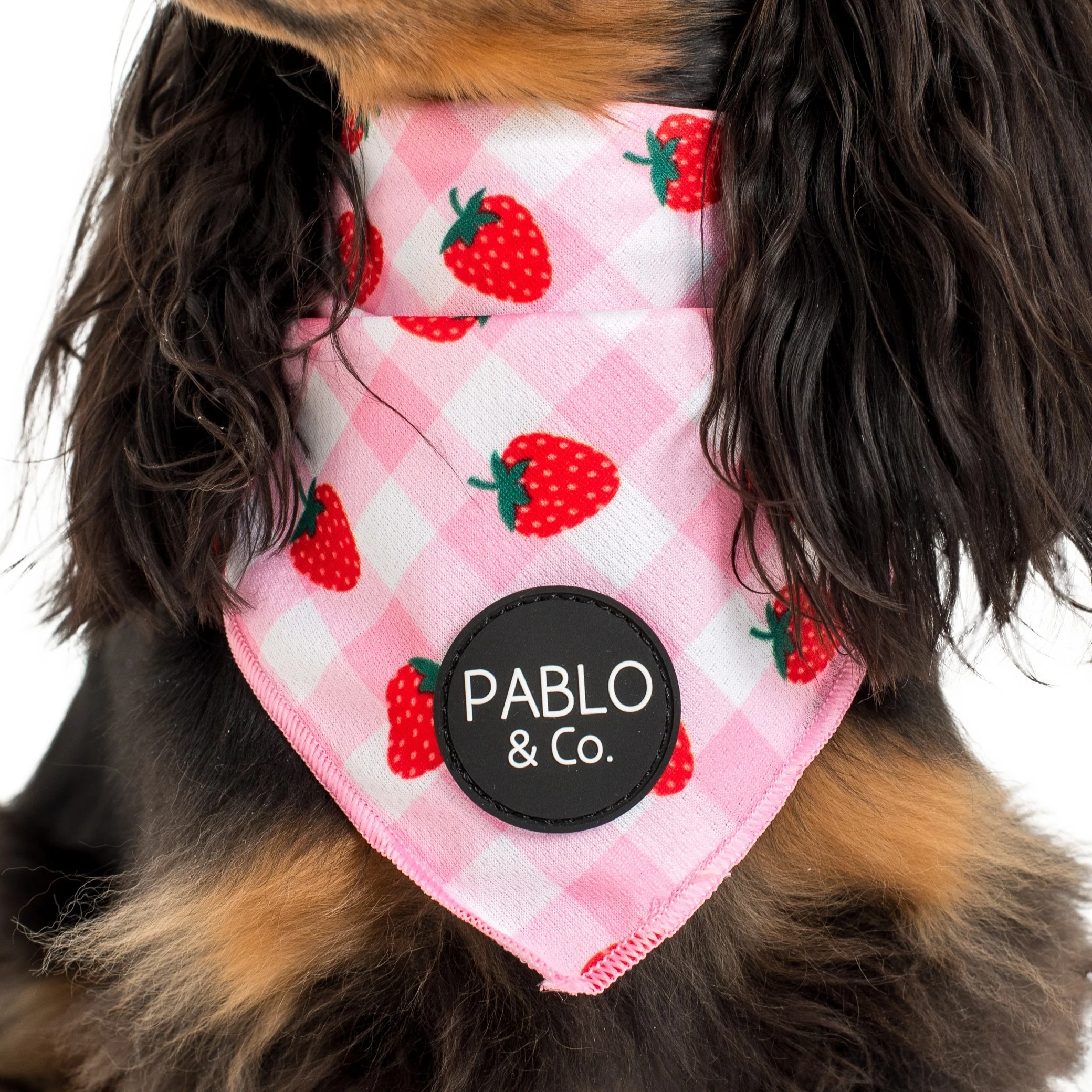 Strawberry Fields: Dog Bandana - Image 2