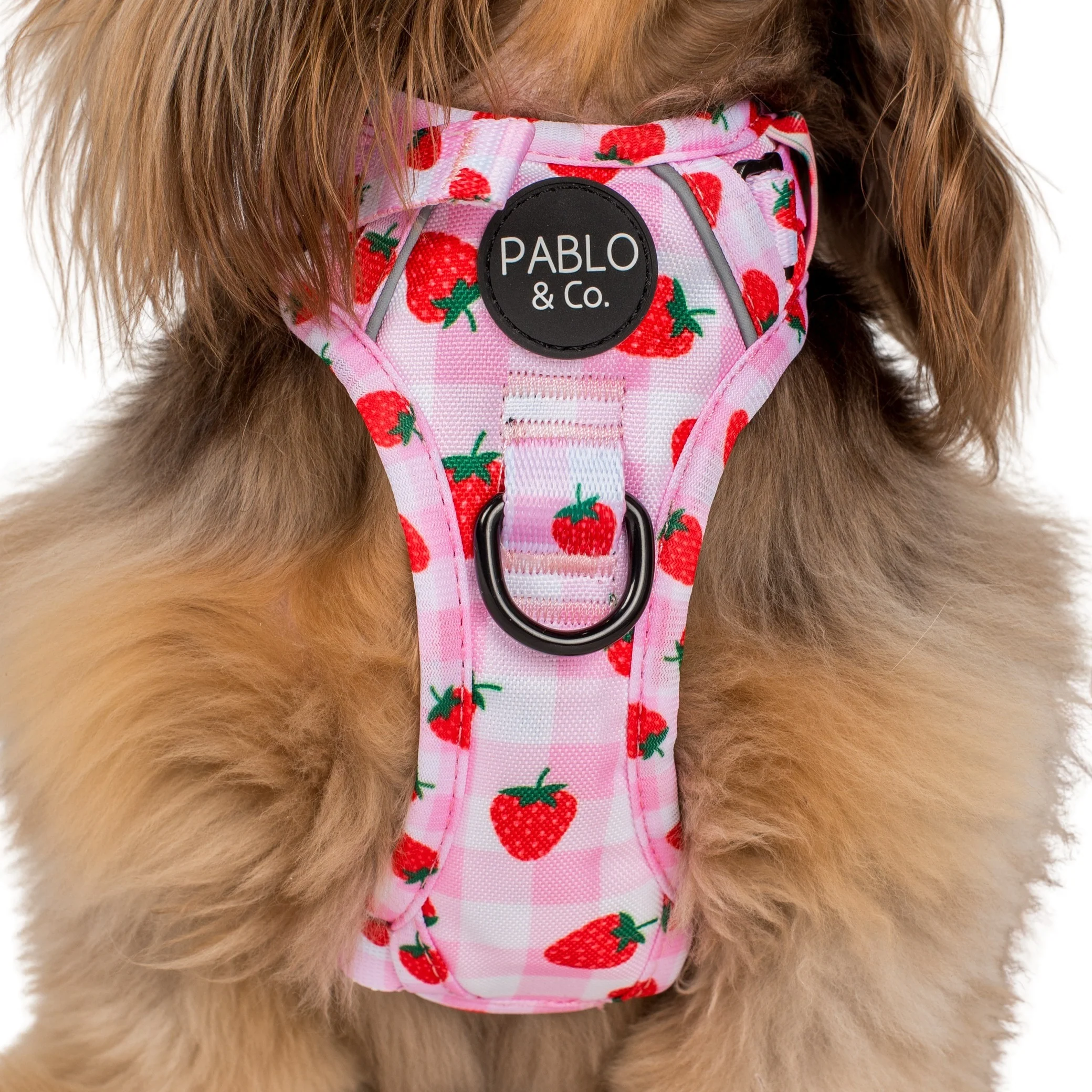 Strawberry Fields: No Pull Adventure Harness - Image 2