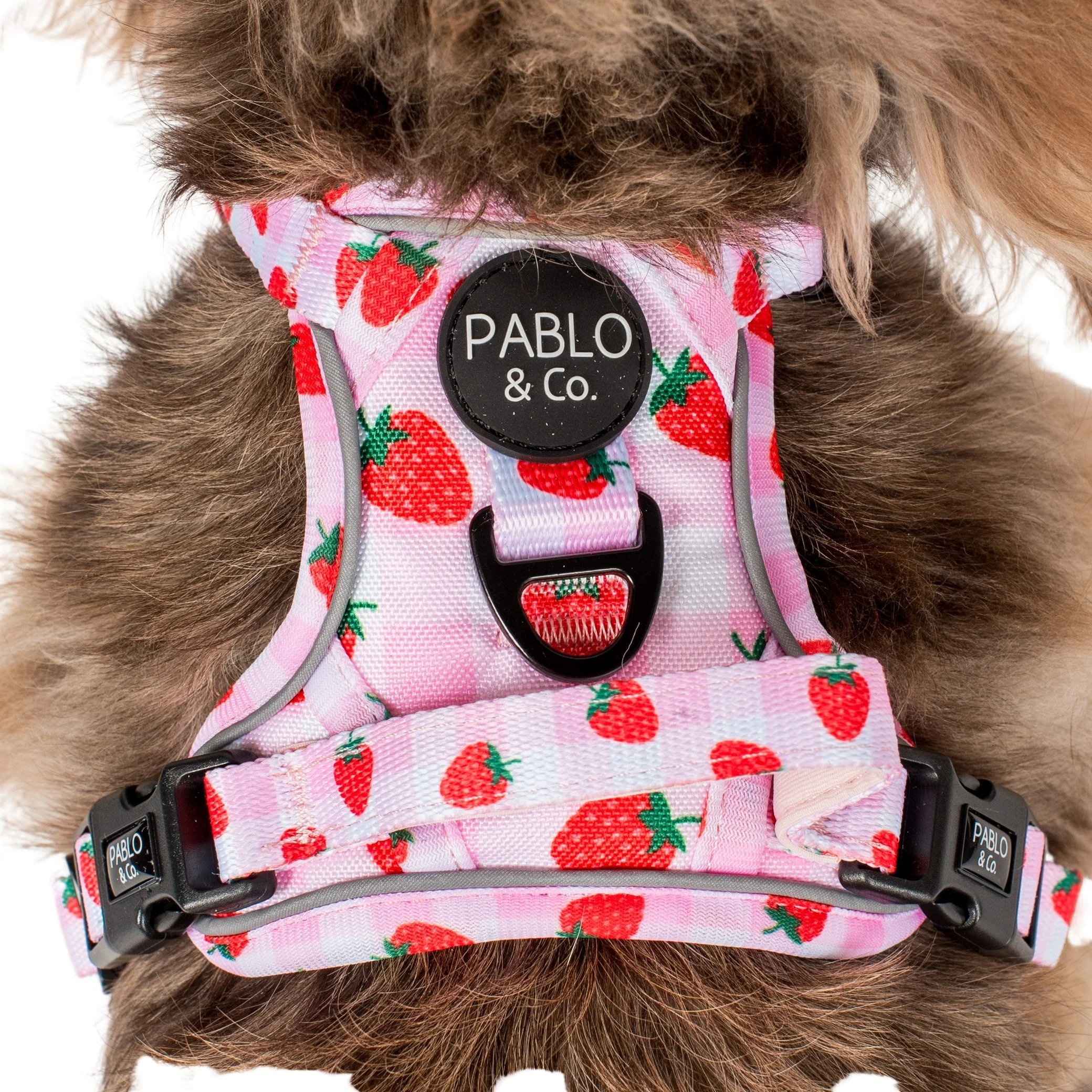 Strawberry Fields: No Pull Adventure Harness - Image 3