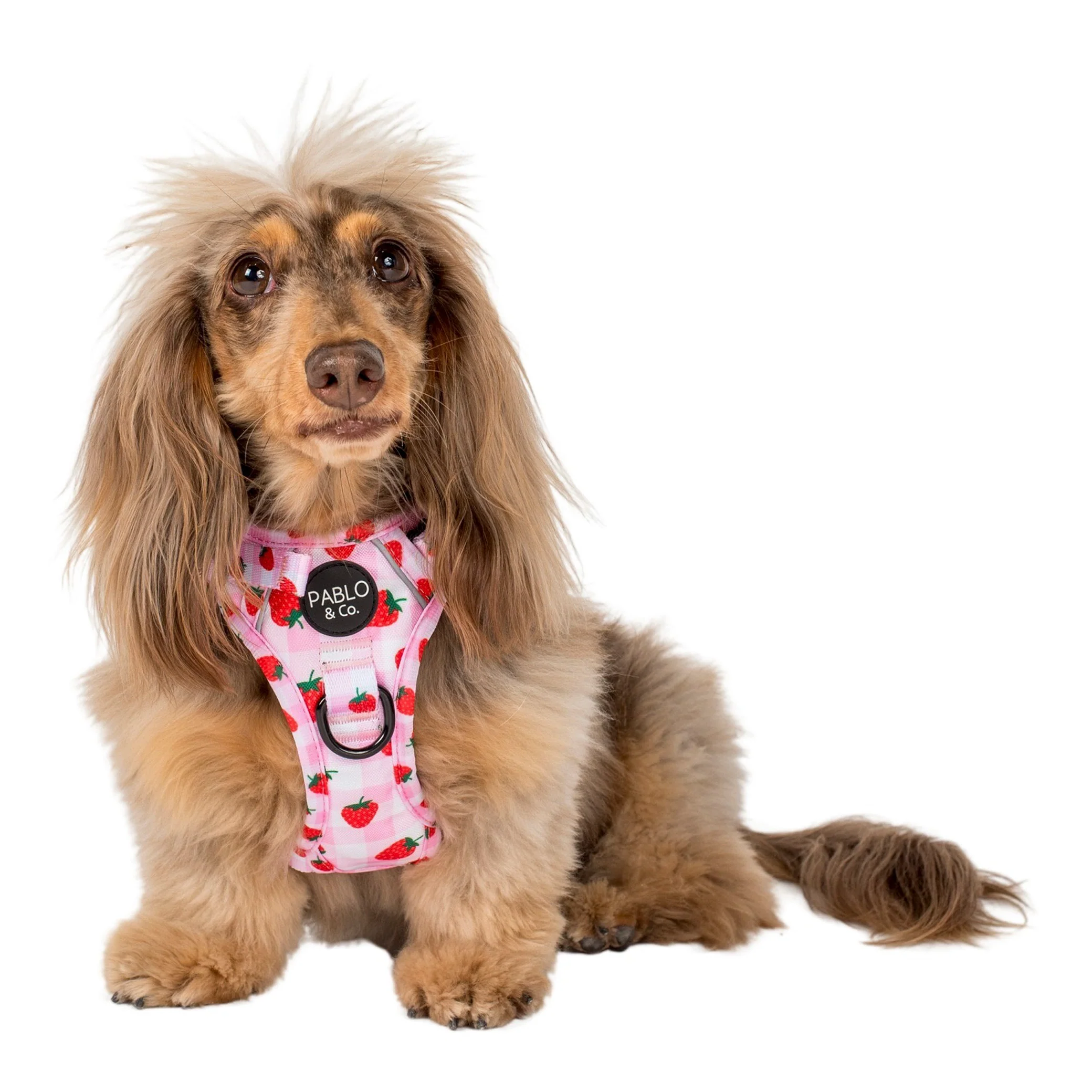 Strawberry Fields: No Pull Adventure Harness - Image 4