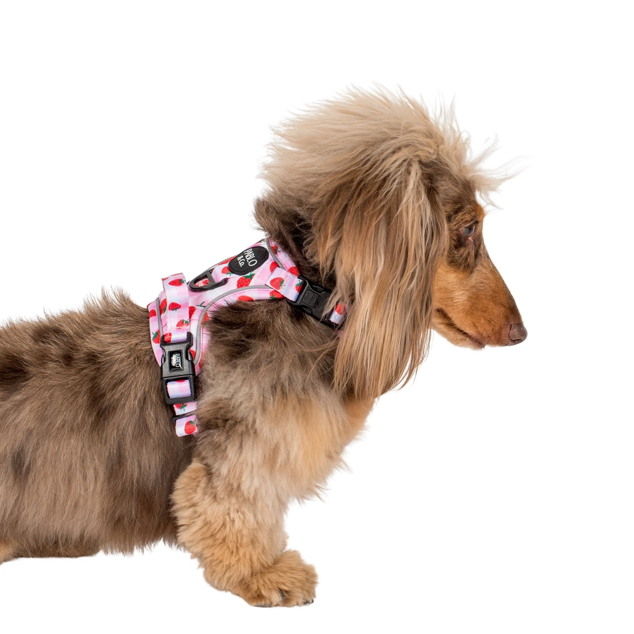 Strawberry Fields: No Pull Adventure Harness - Image 5