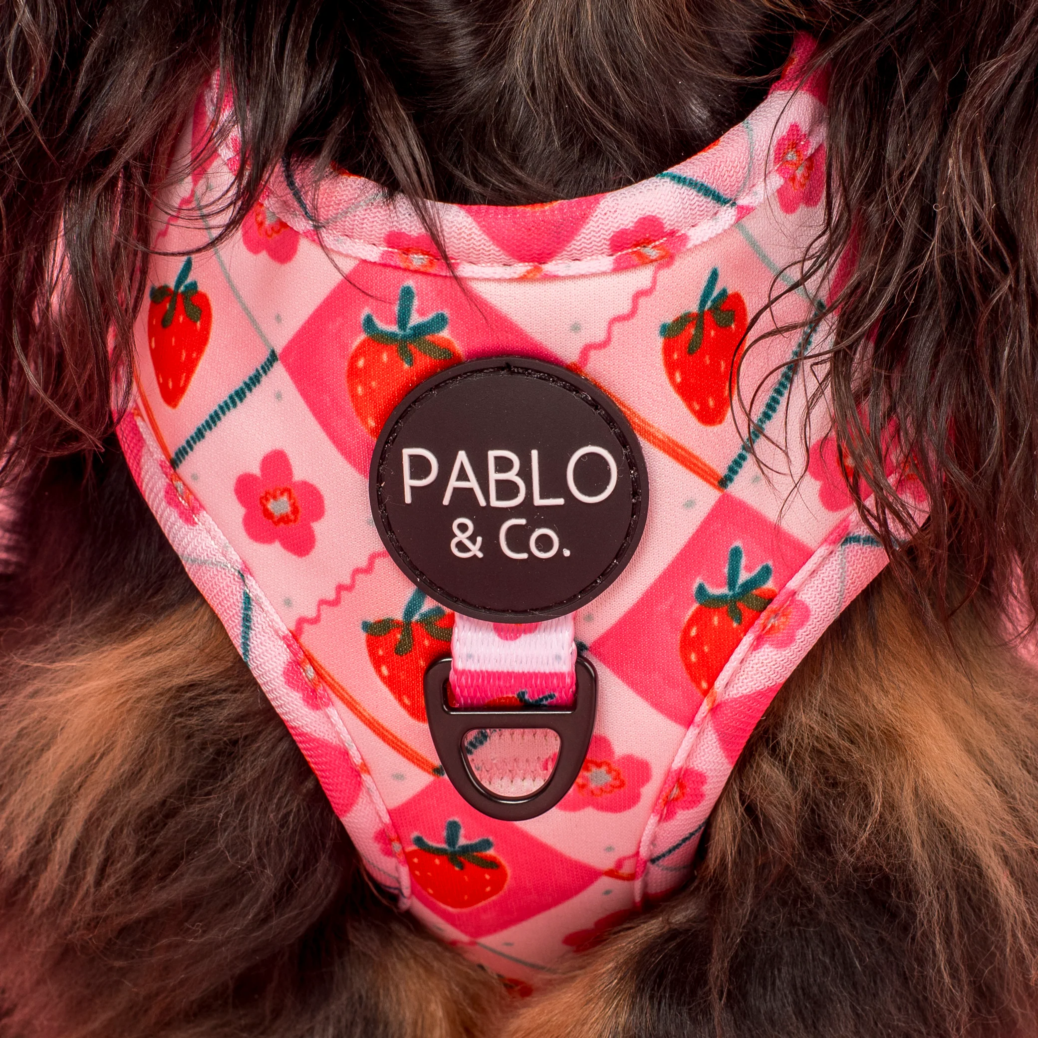 Strawberry Patch: Adjustable Harness - Image 2