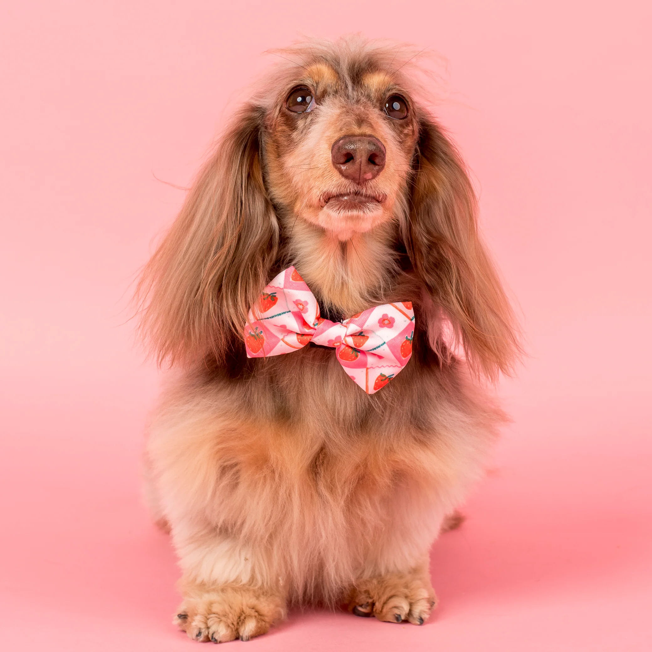 Strawberry Patch: Bow Tie