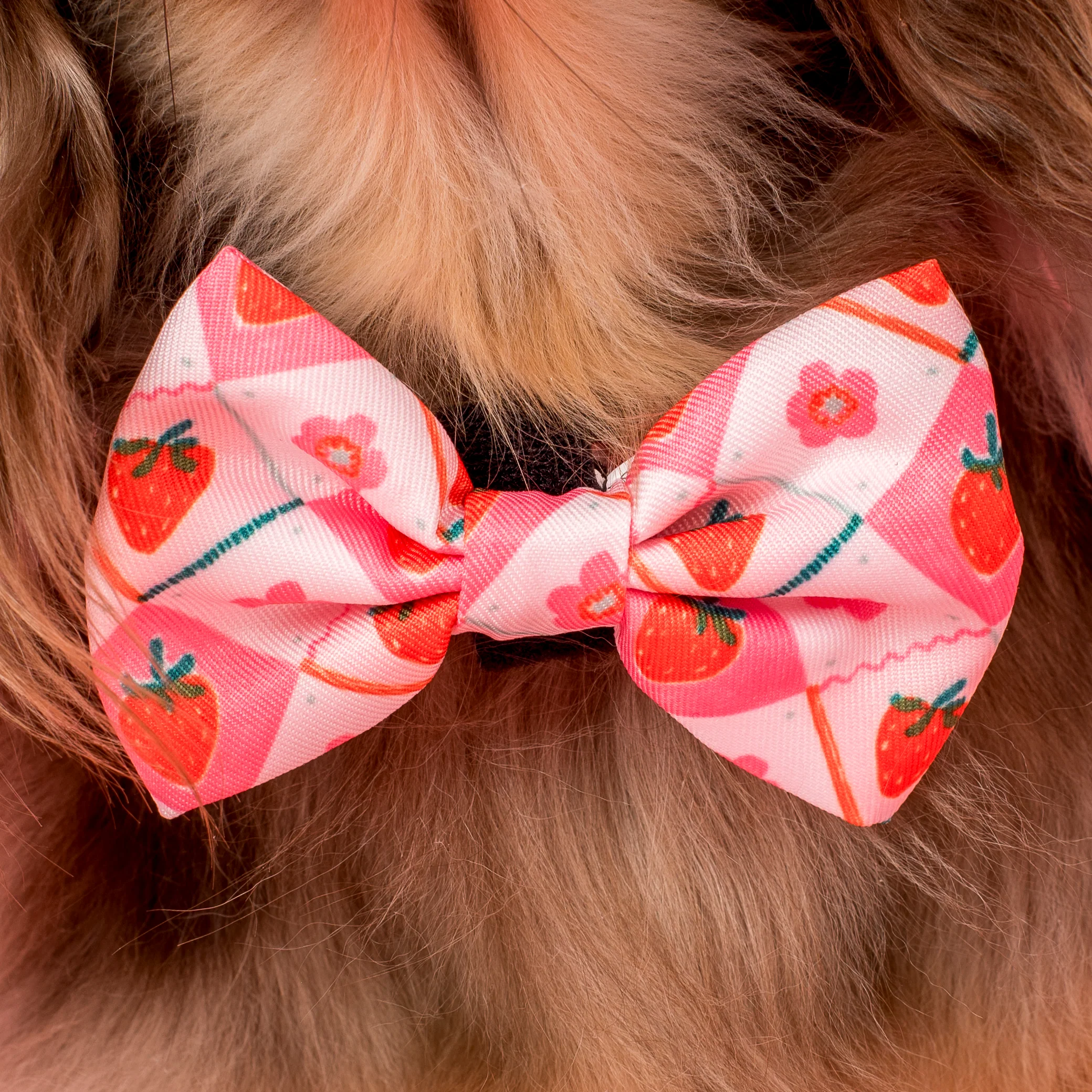Strawberry Patch: Bow Tie - Image 2