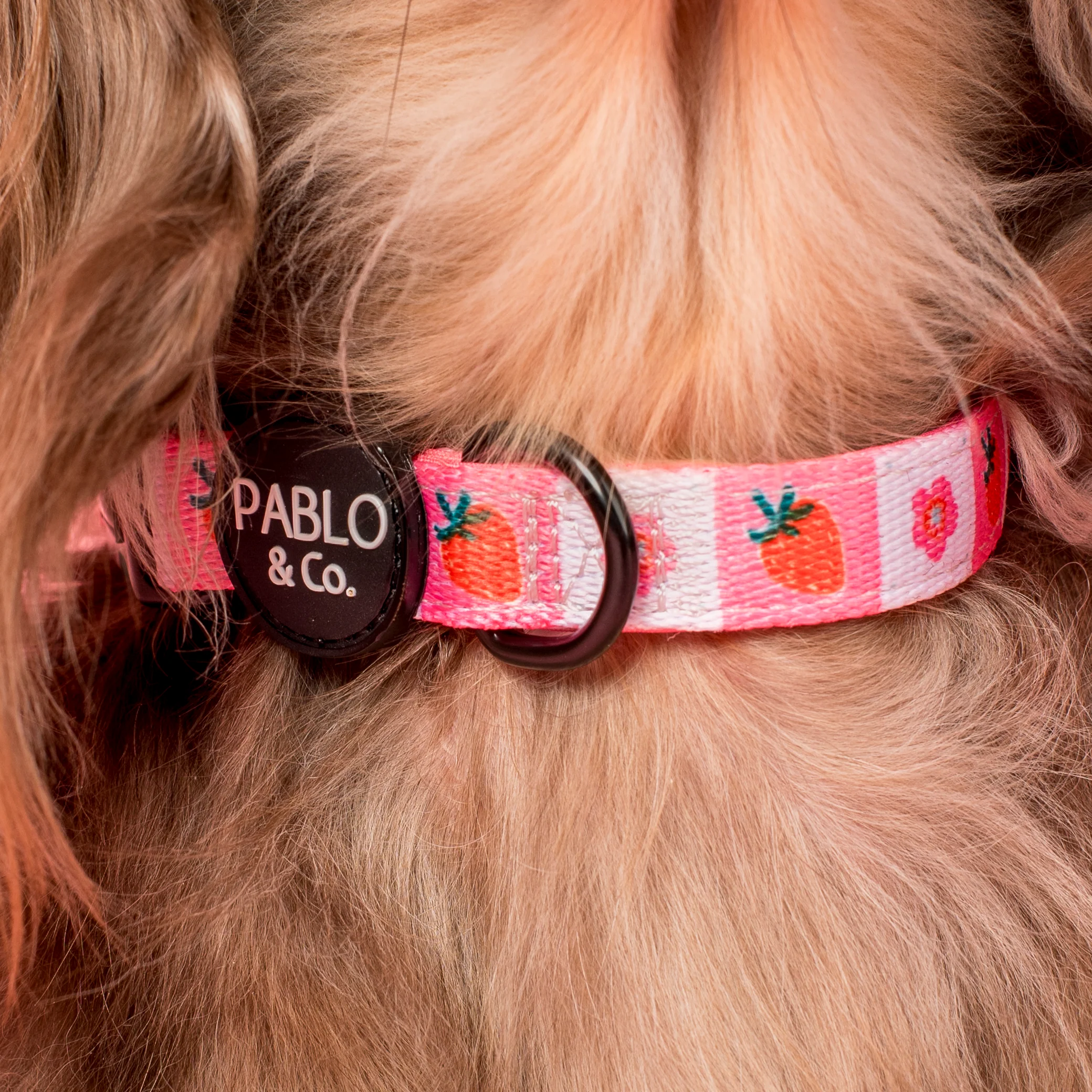 Strawberry Patch: Collar - Image 2