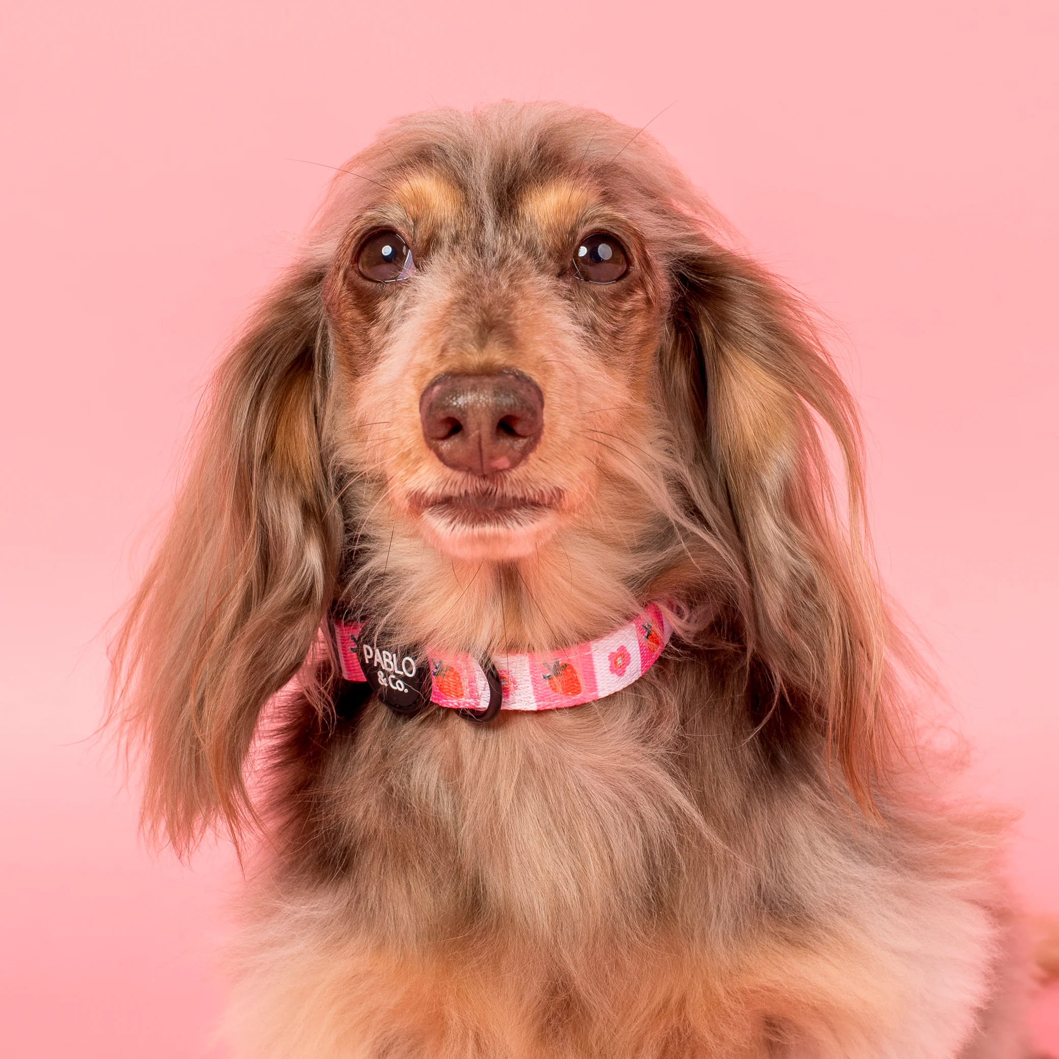Strawberry Patch: Collar - Image 3