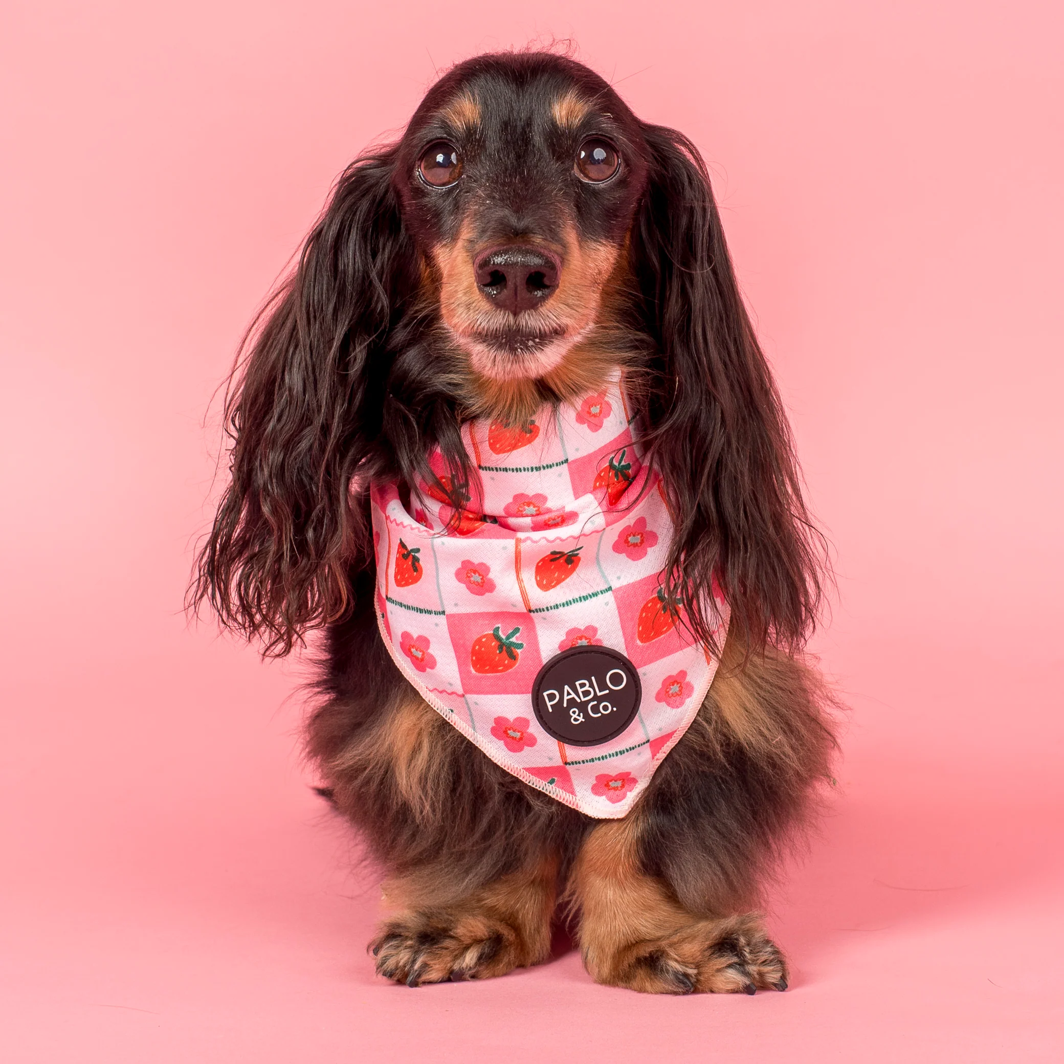 Strawberry Patch: Dog Bandana