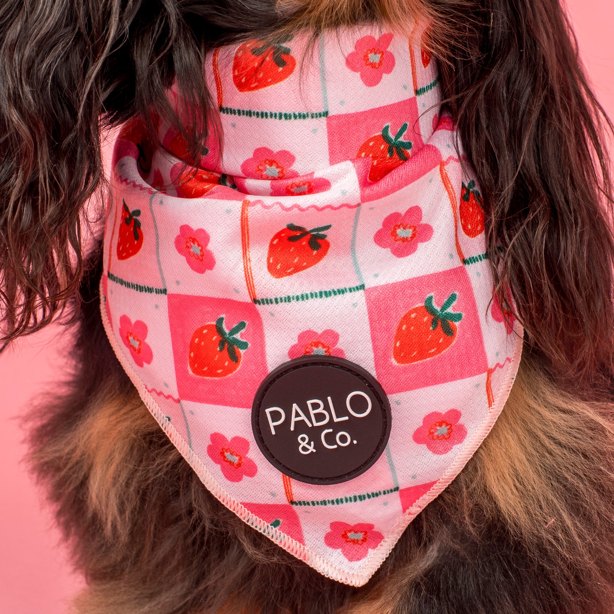 Strawberry Patch: Dog Bandana - Image 2