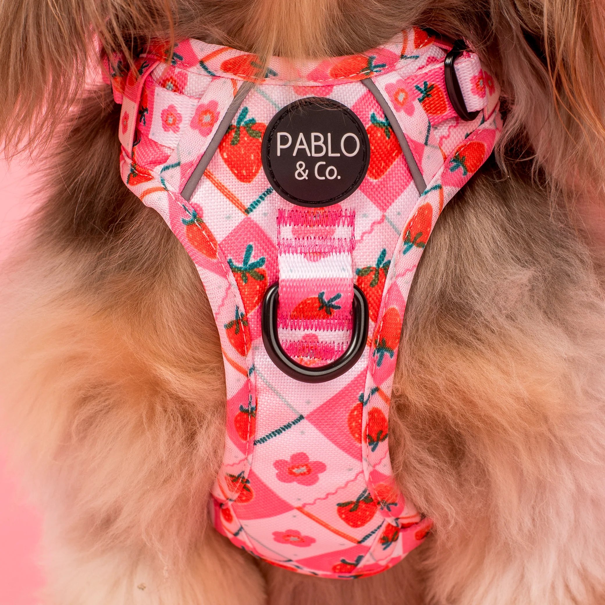 Strawberry Patch: No Pull Adventure Harness - Image 2