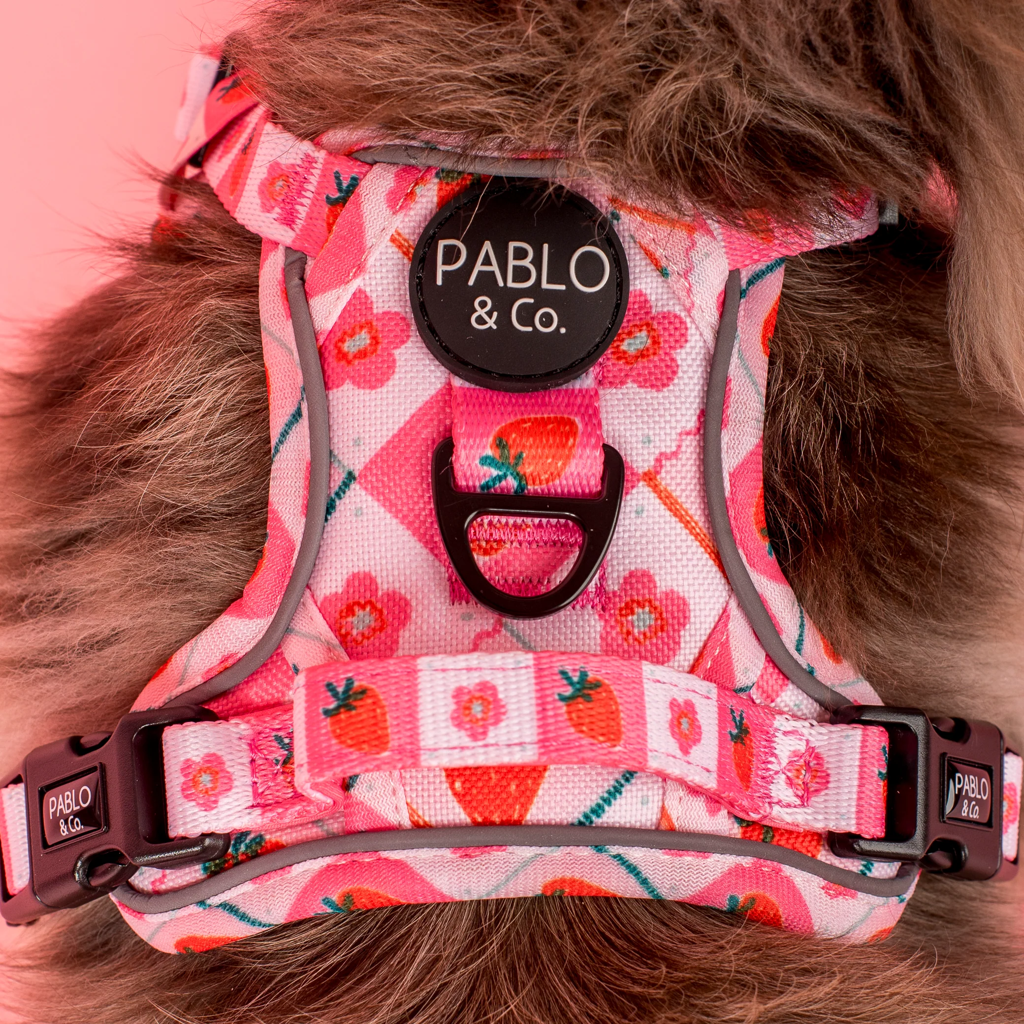 Strawberry Patch: No Pull Adventure Harness - Image 3