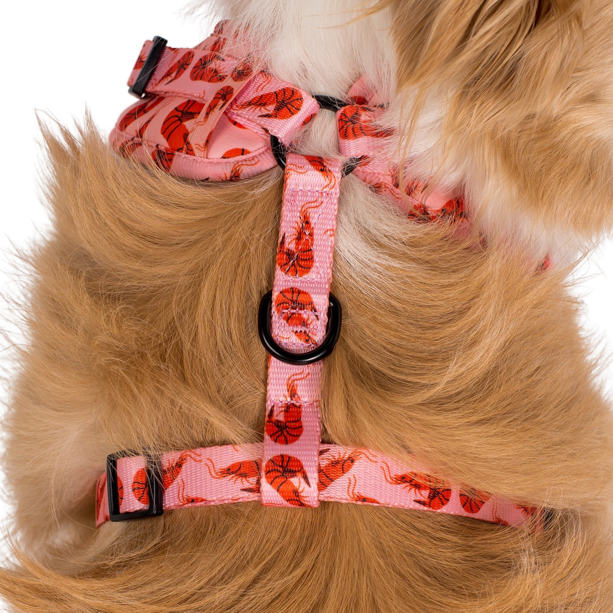 Summer Prawns: Adjustable Harness - Image 8