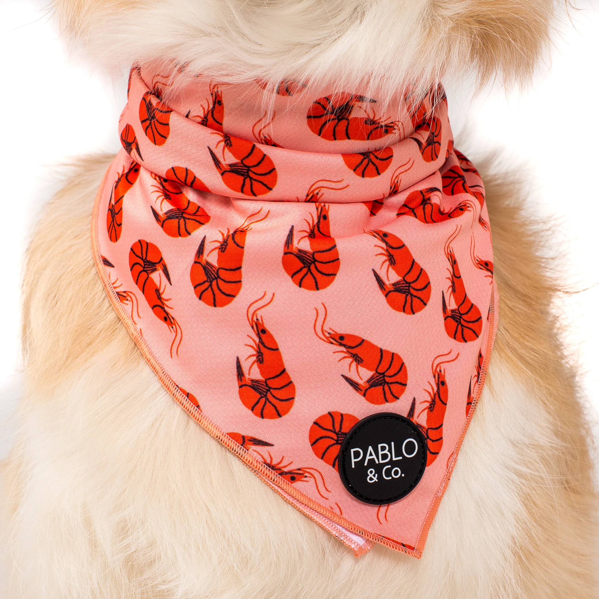 Summer Prawns - Dog Bandana - Image 2