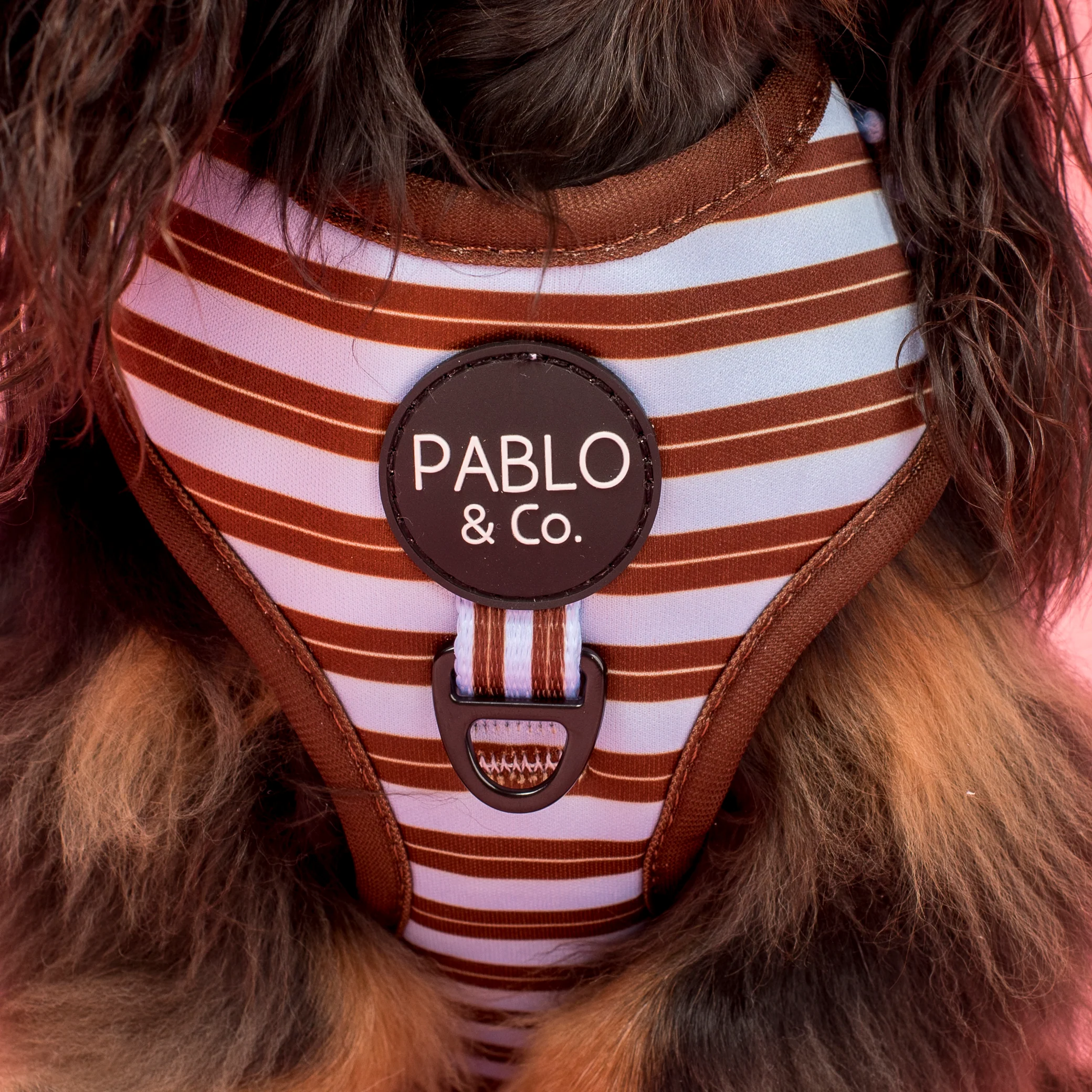 Sunday Stripes: Adjustable Harness - Image 2