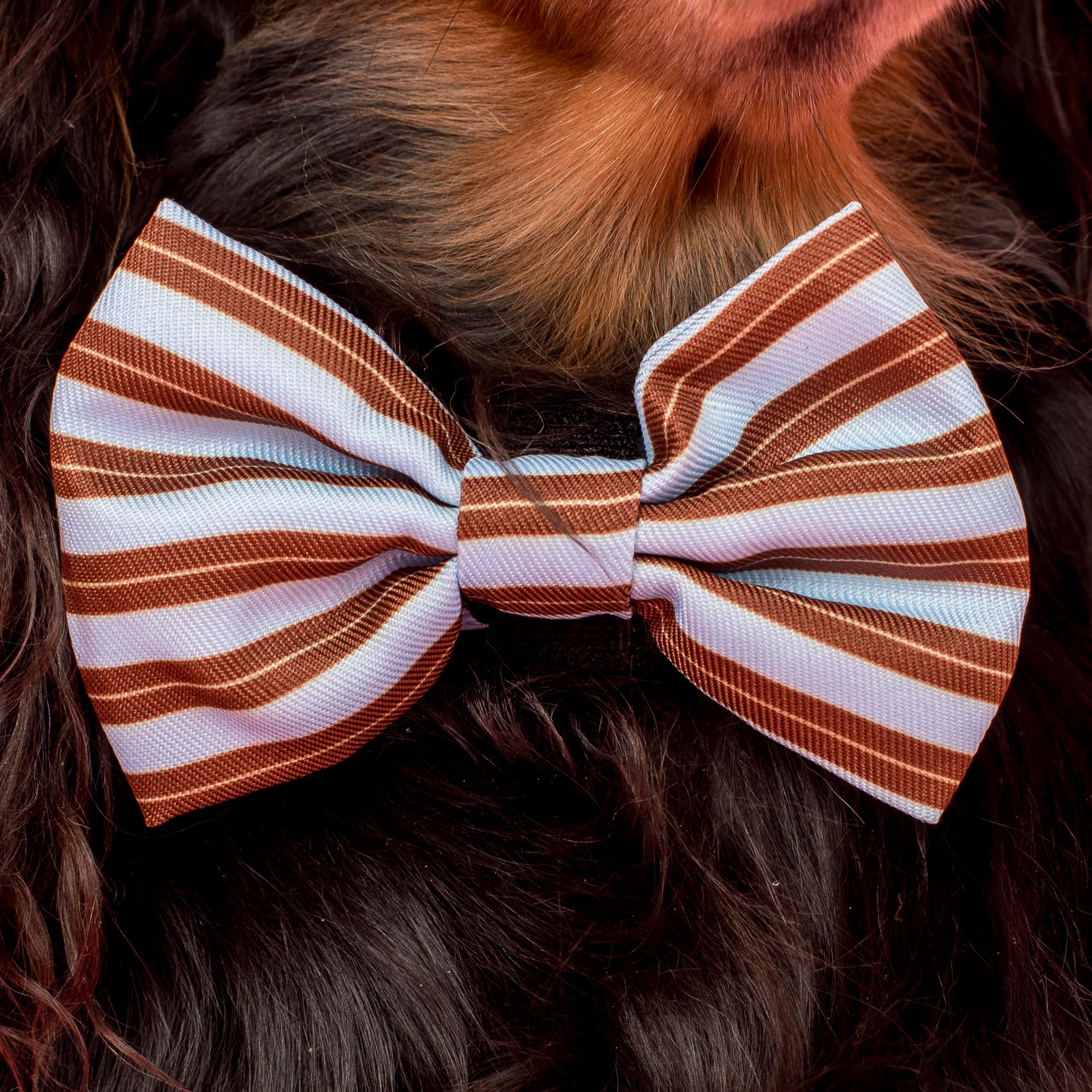 Sunday Stripes: Bow Tie - Image 2