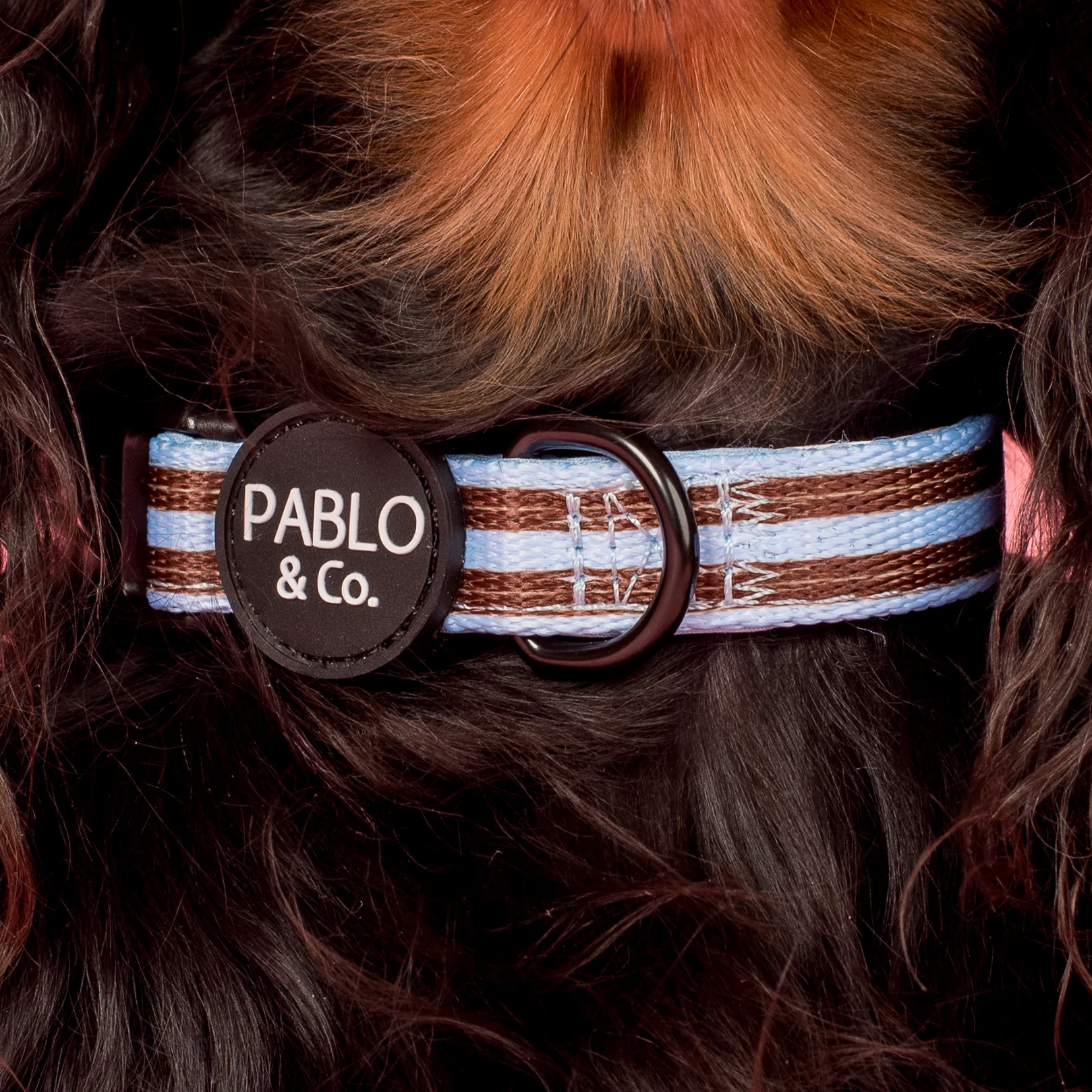 Sunday Stripes: Collar - Image 2