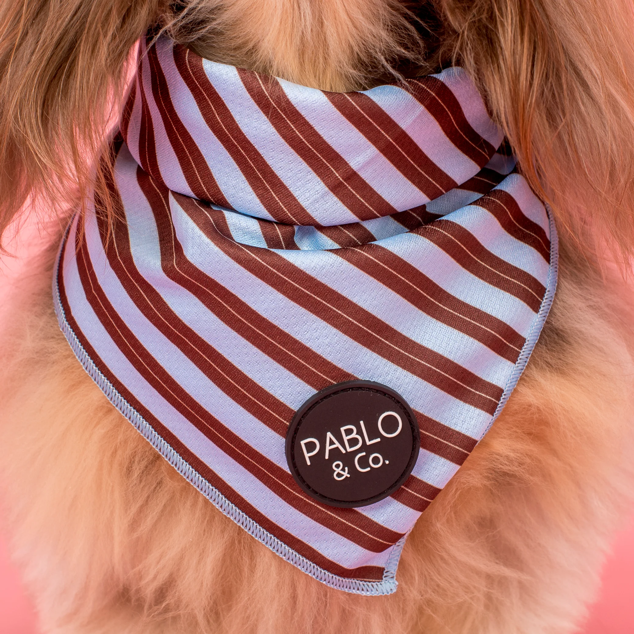Sunday Stripes: Dog Bandana - Image 2