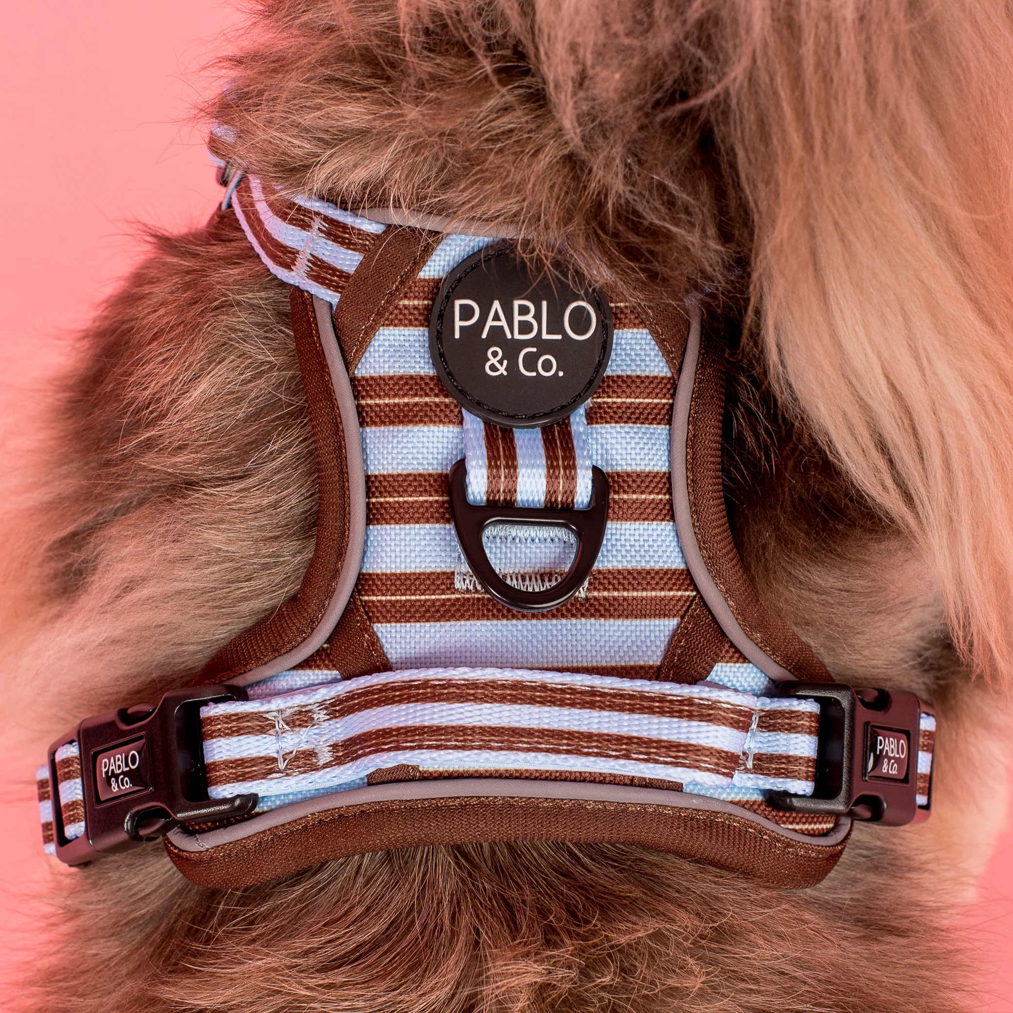 Sunday Stripes: No Pull Adventure Harness - Image 3