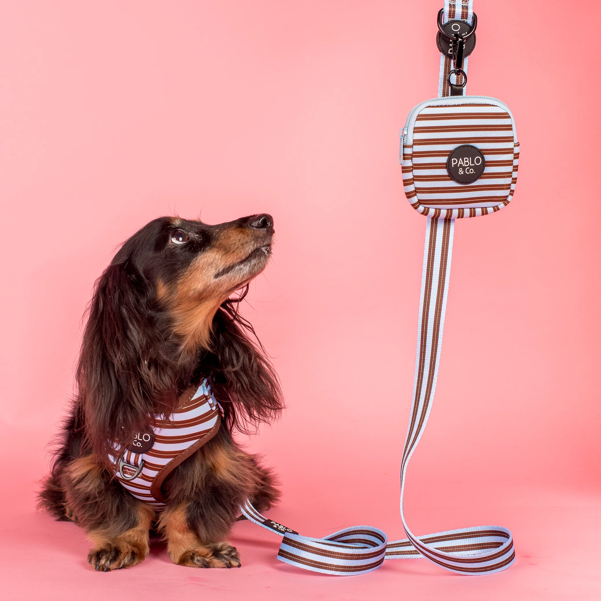 Sunday Stripes: Treat Pouch