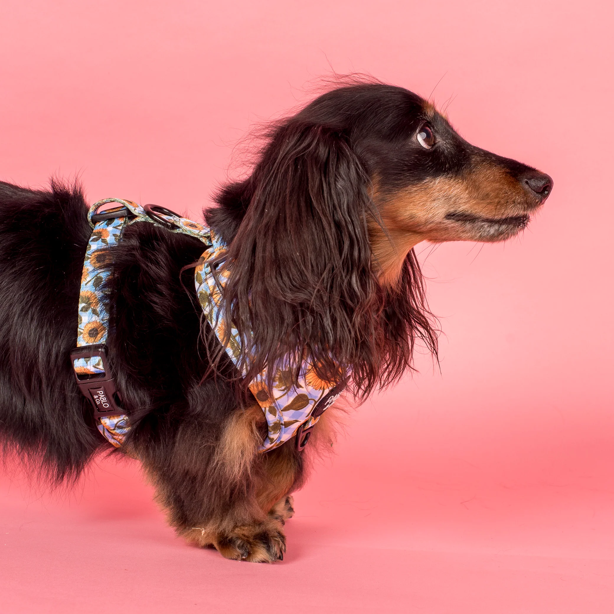 Sunny Sunflowers: Adjustable Harness - Image 3