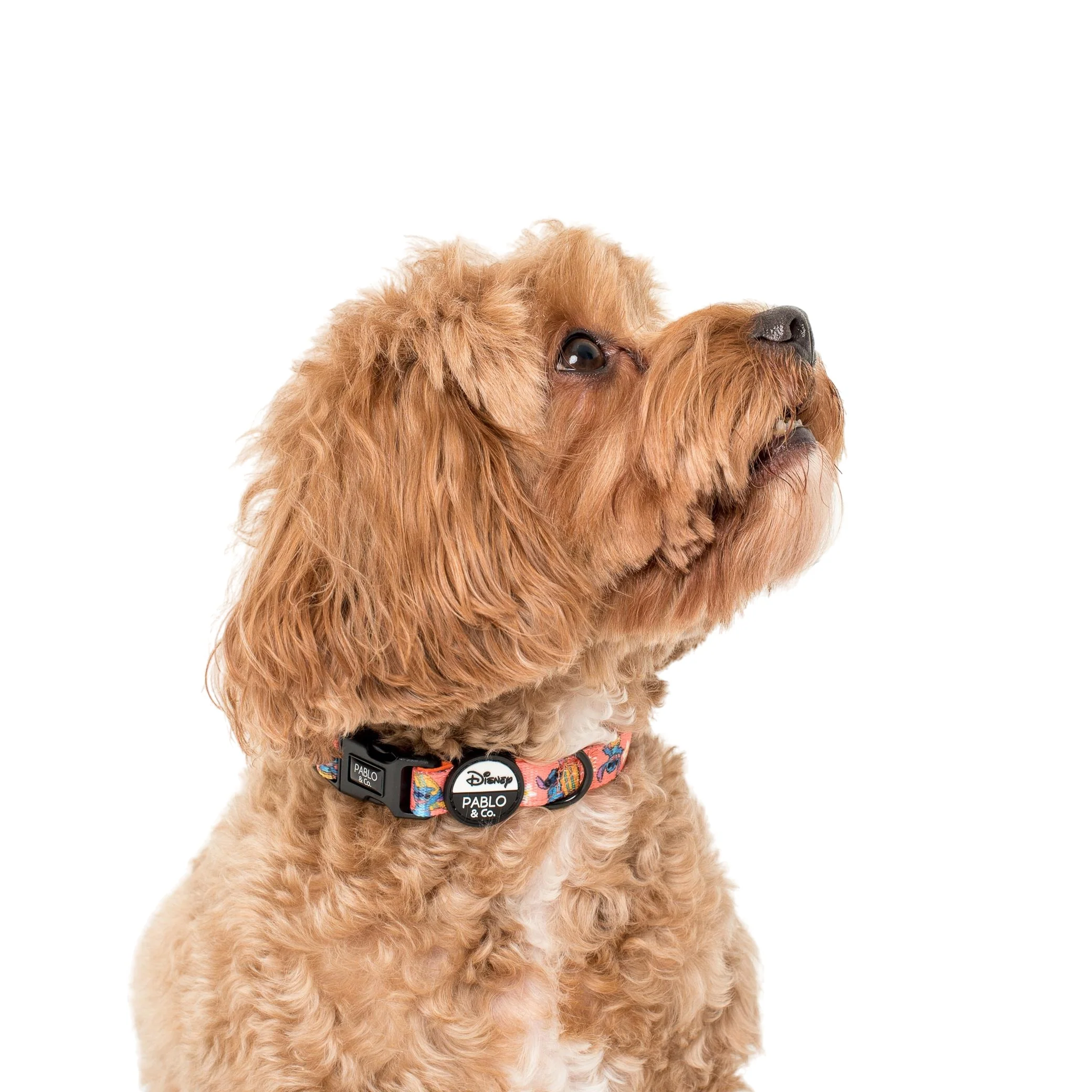Surfin' Stitch: Dog Collar - Image 2
