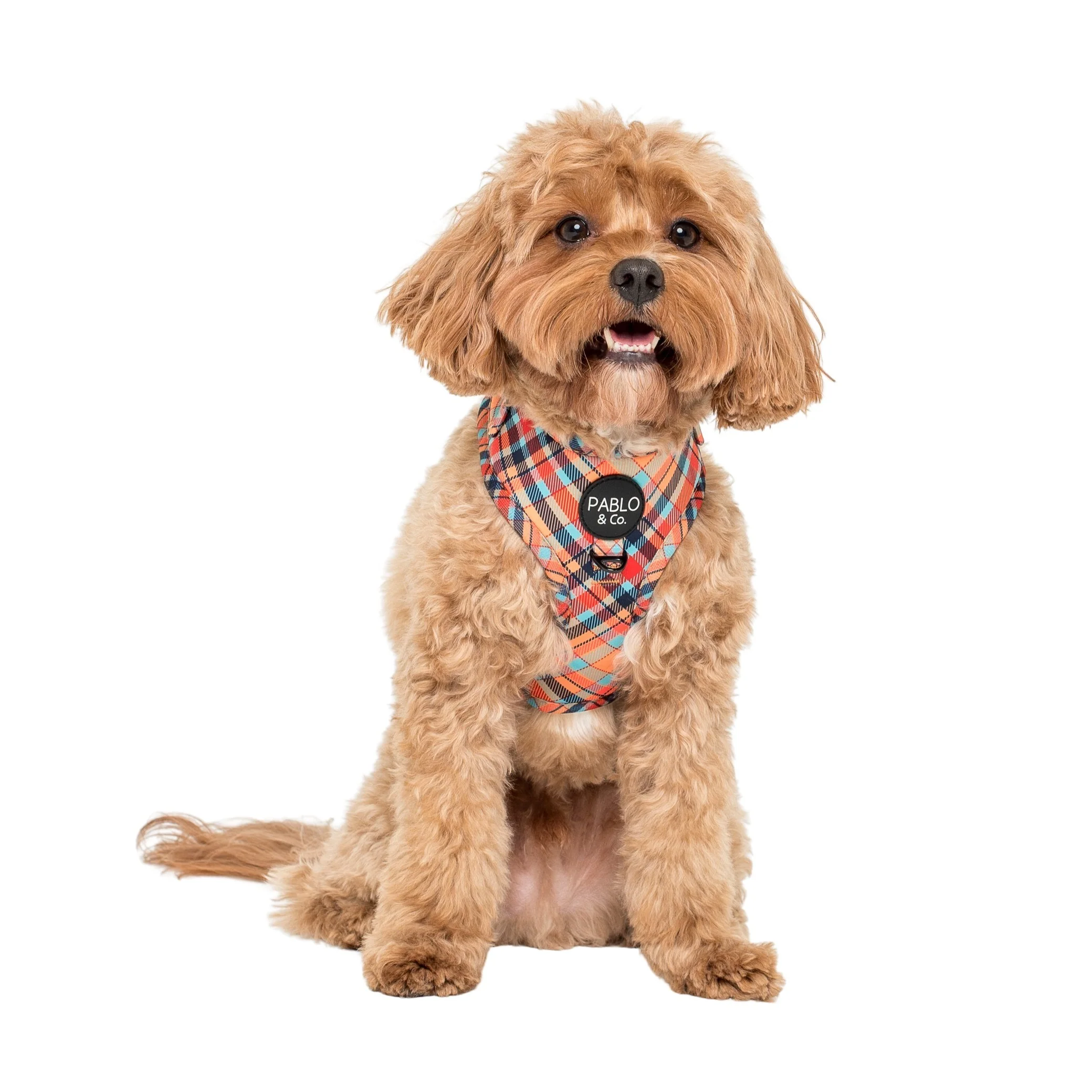 Tartan: Adjustable Harness - Image 3