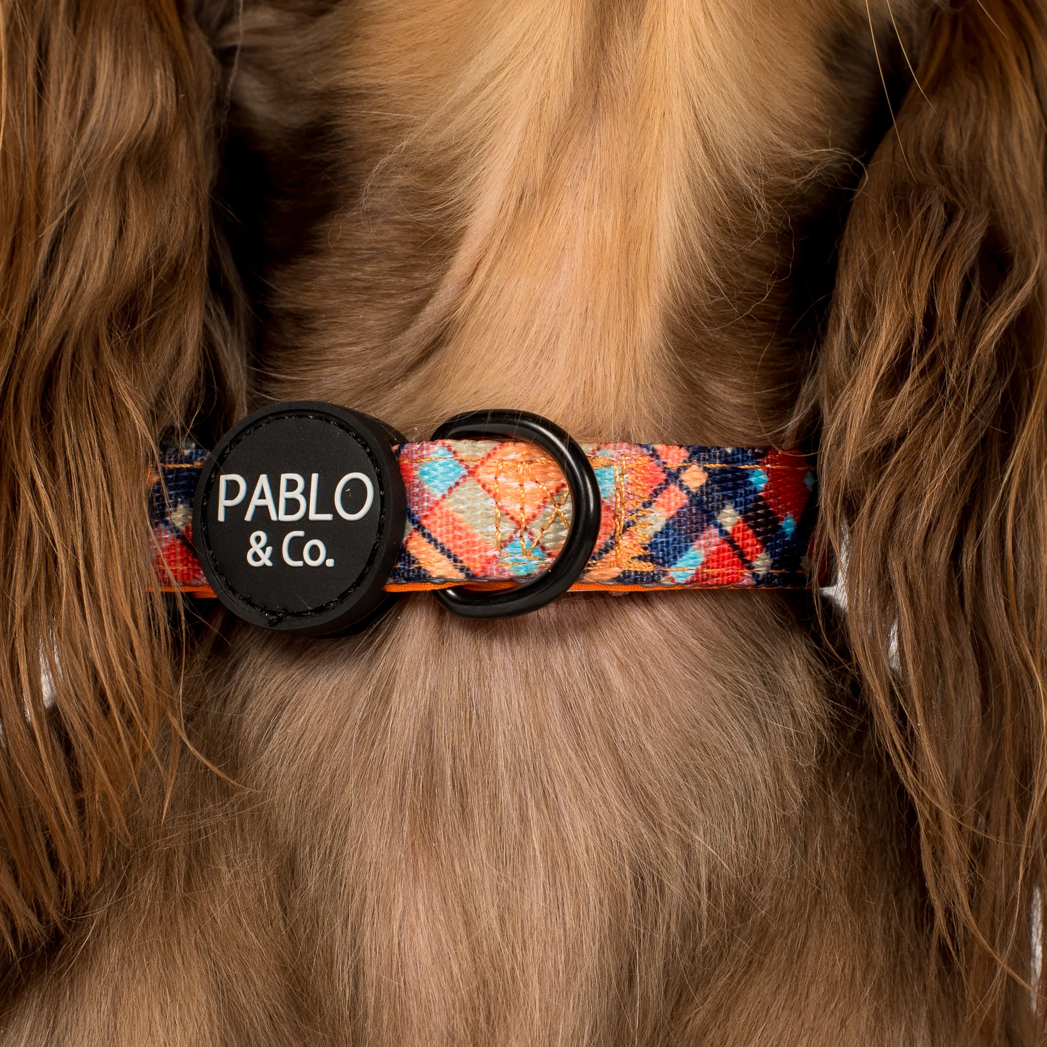 Tartan: Collar - Image 2