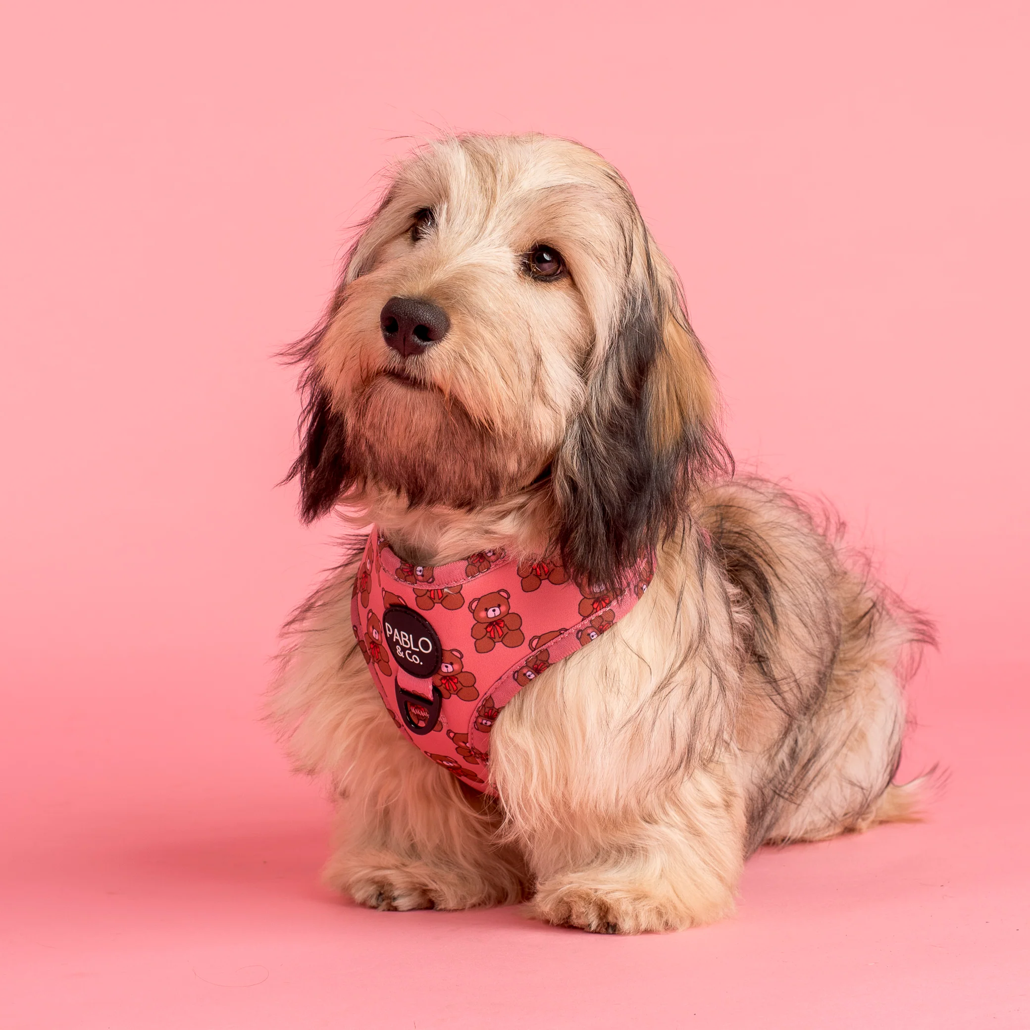 Teddies: Adjustable Harness - Image 2