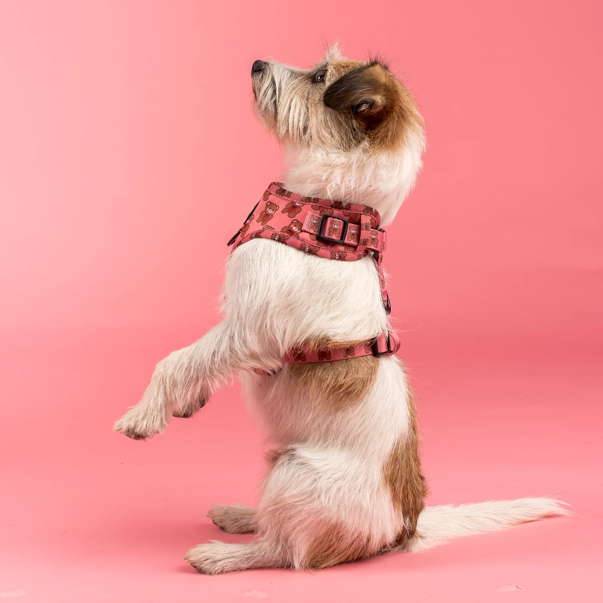 Teddies: Adjustable Harness - Image 3