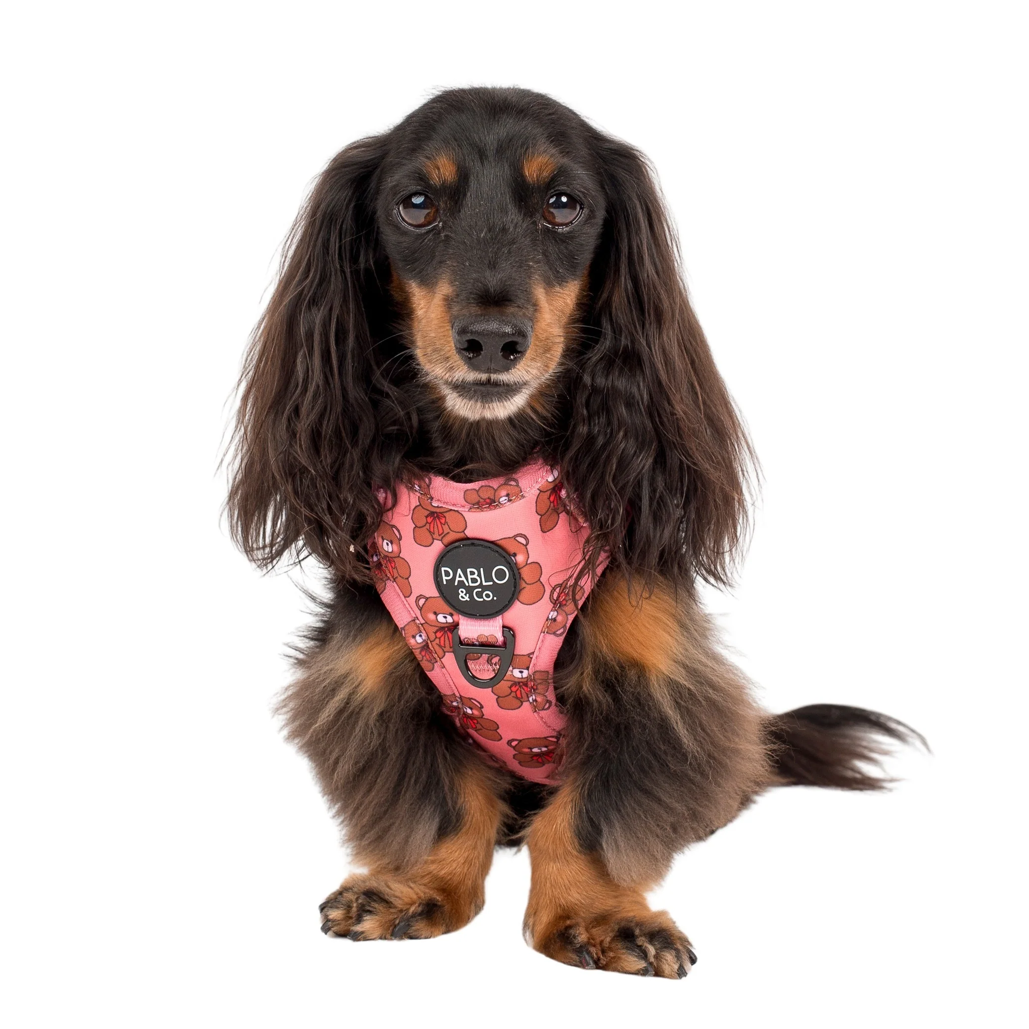 Teddies: Adjustable Harness - Image 6