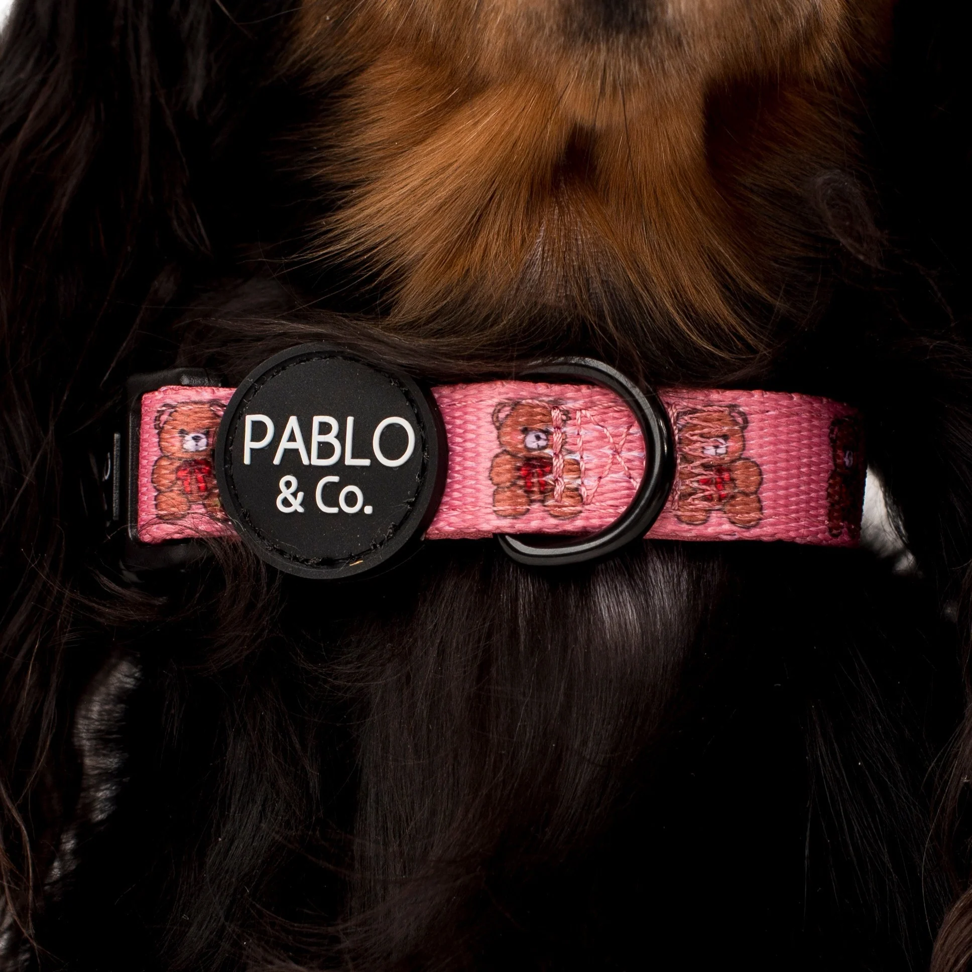 Teddies: Collar - Image 6