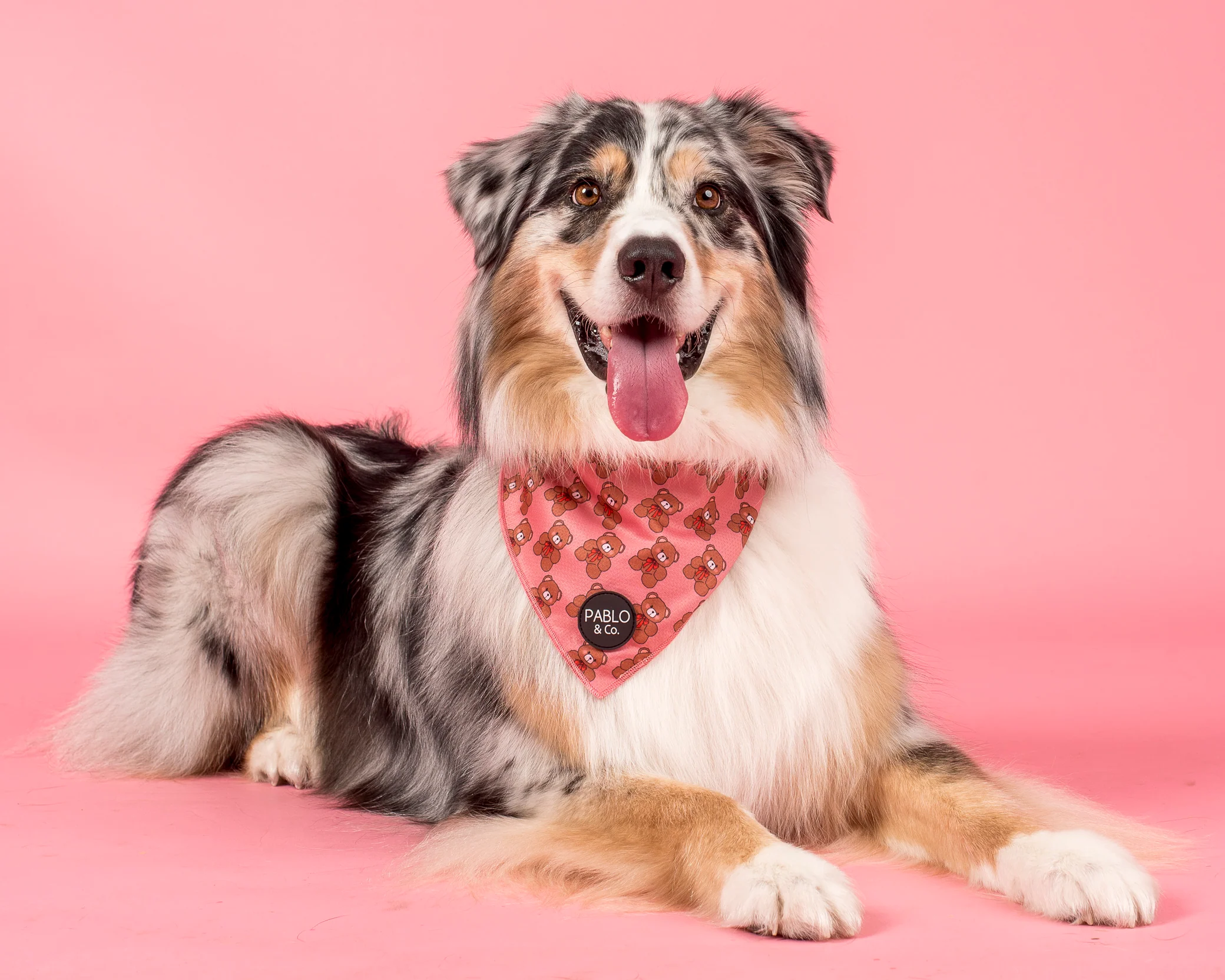 Teddies - Dog Bandana - Image 2
