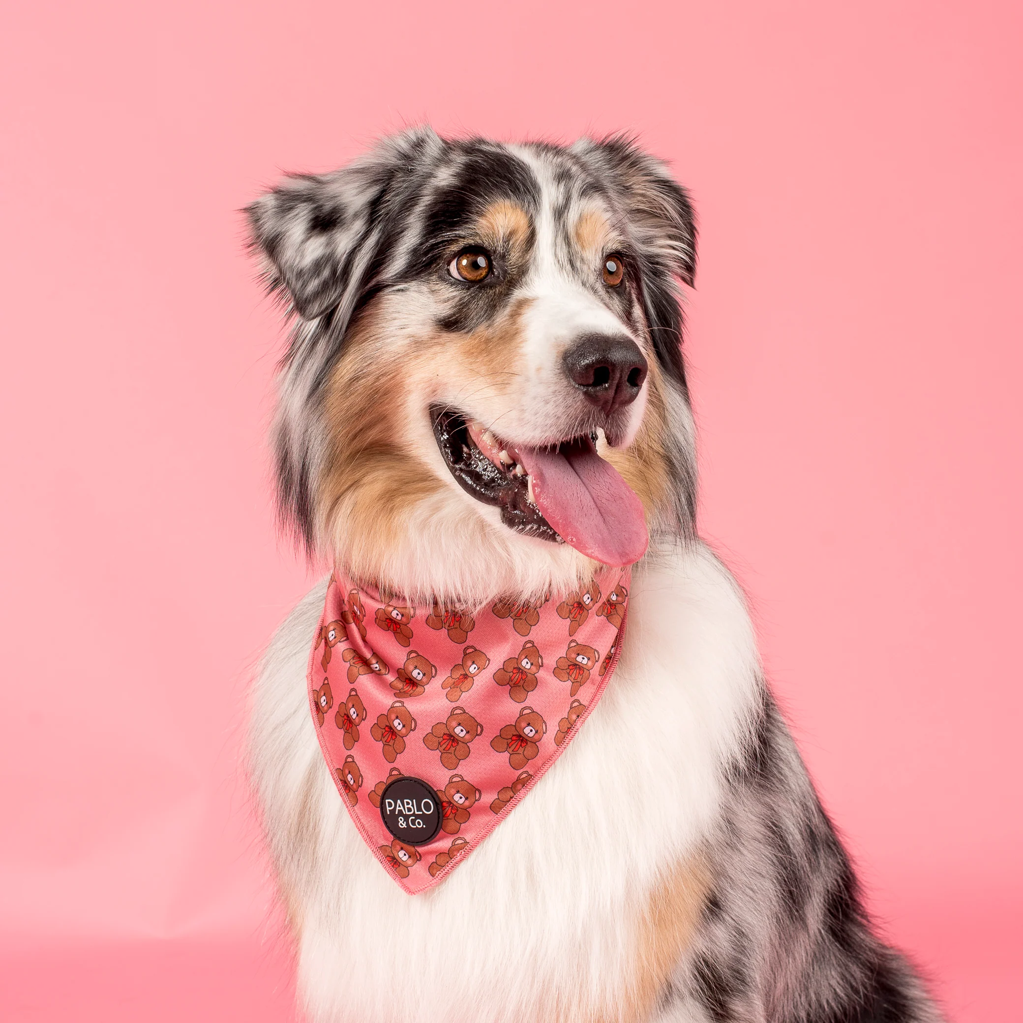 Teddies - Dog Bandana - Image 3