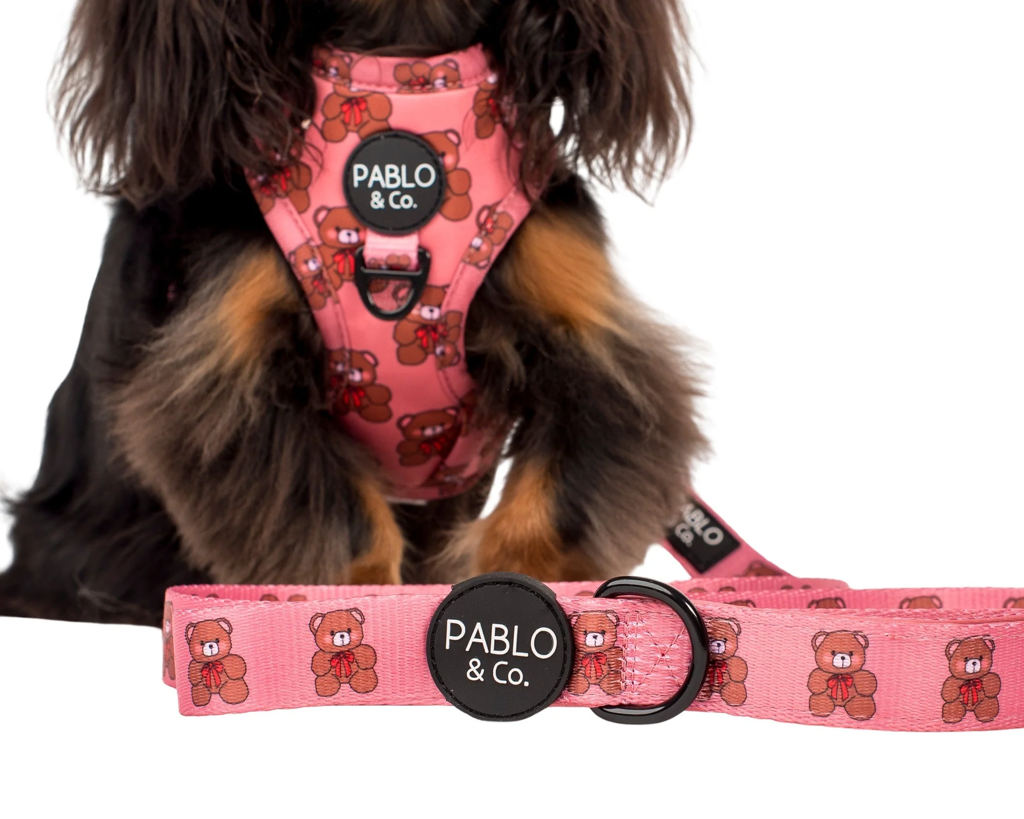 Teddies: Dog Leash - Image 2