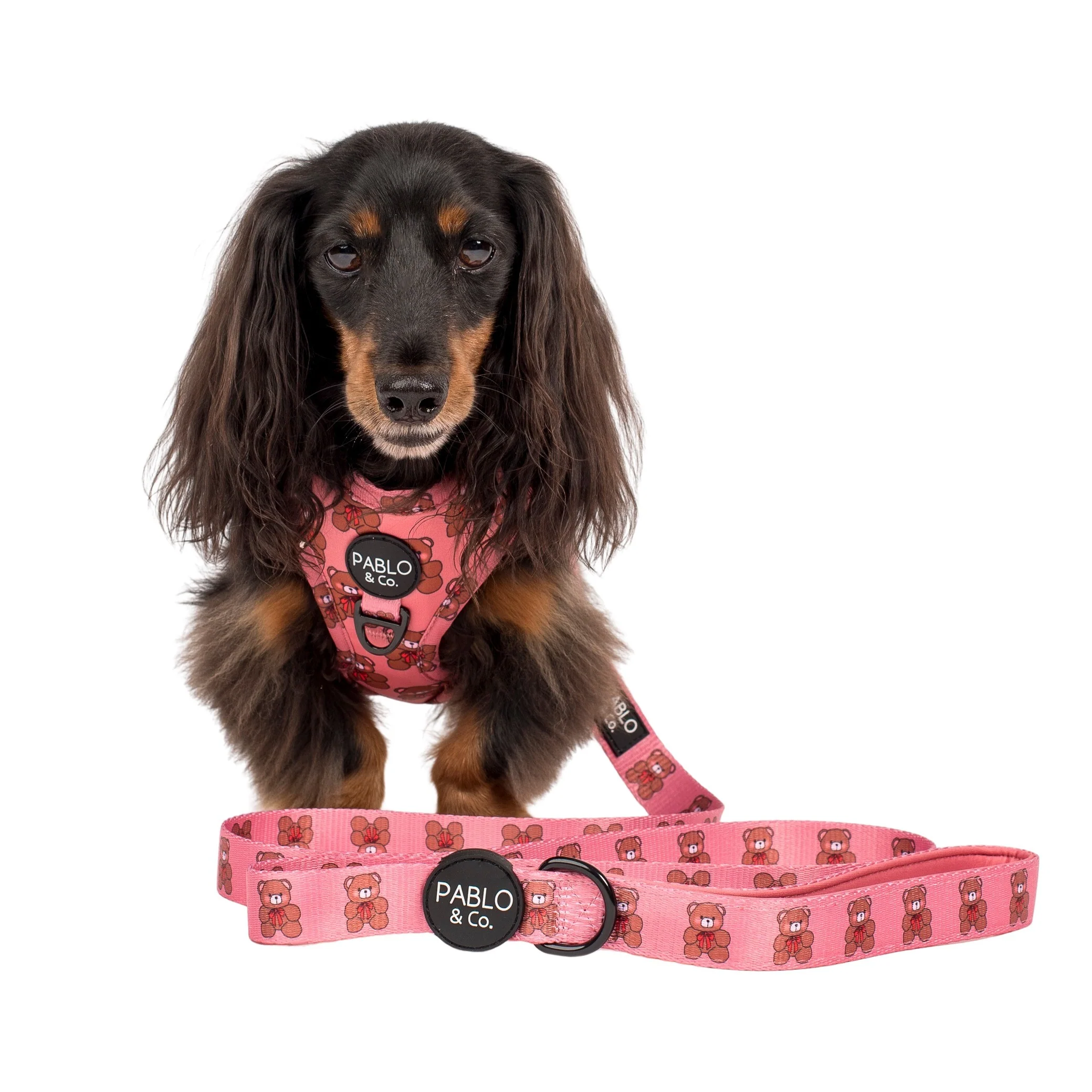 Teddies: Dog Leash - Image 3
