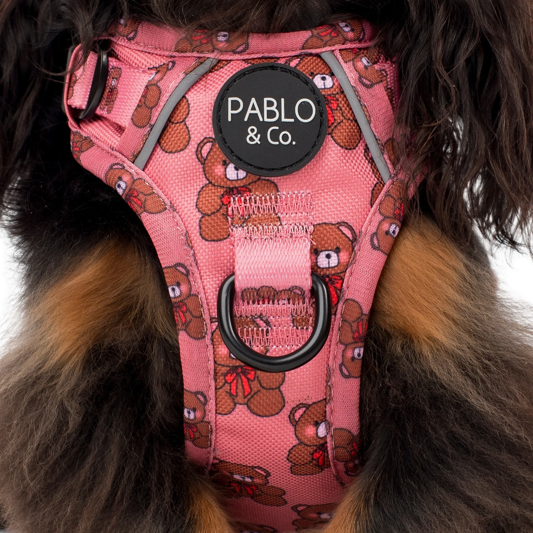 Teddies: No Pull Adventure Harness - Image 2