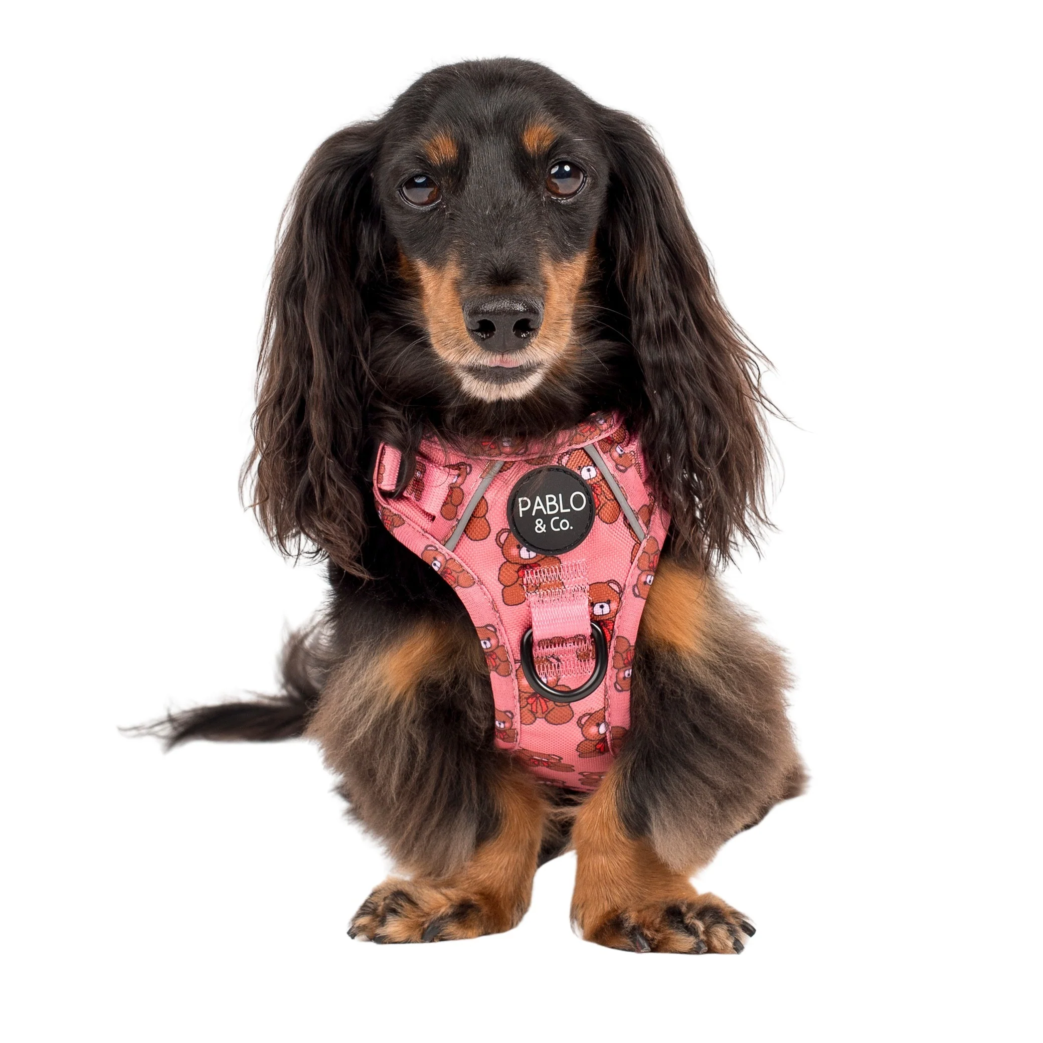 Teddies: No Pull Adventure Harness - Image 4