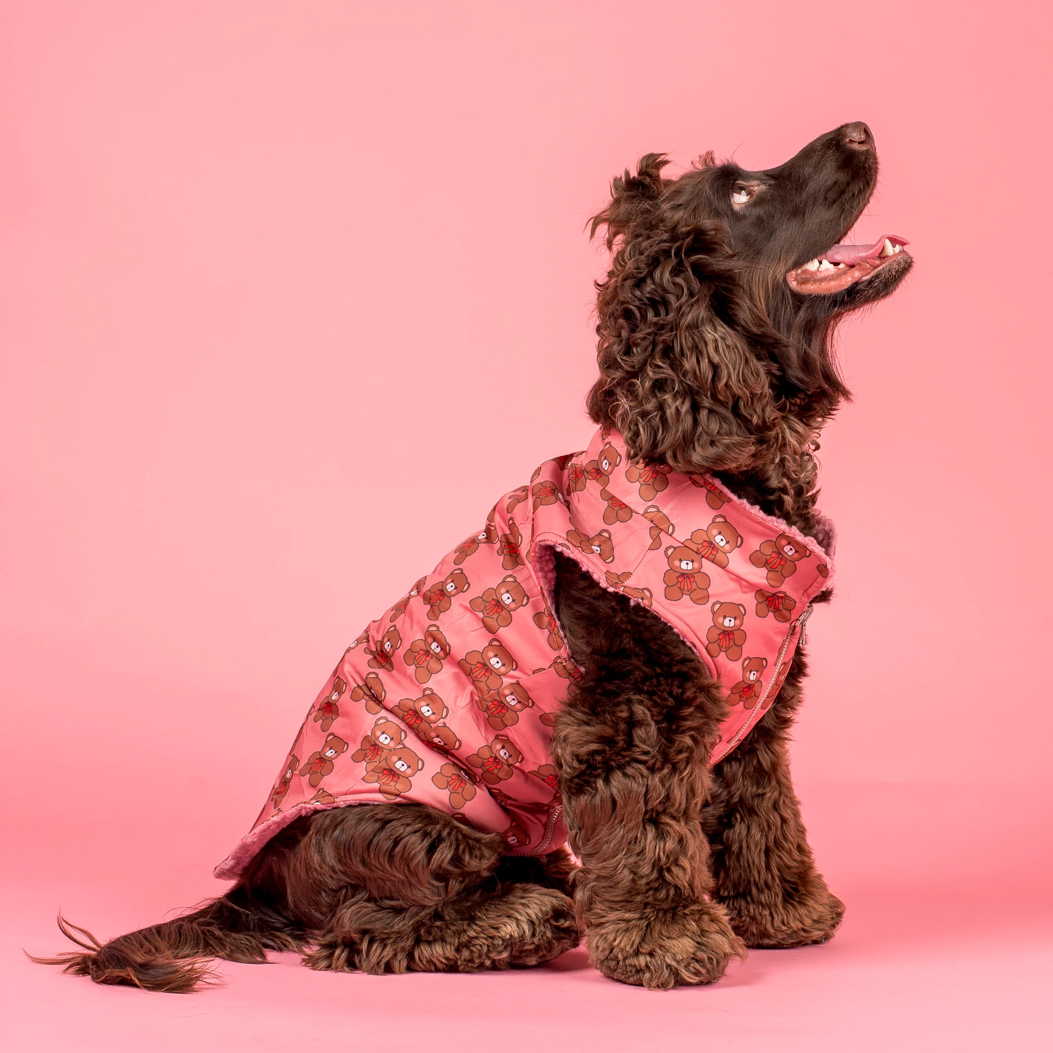 Teddies Teddy Coat: Puffer Vest - Image 2