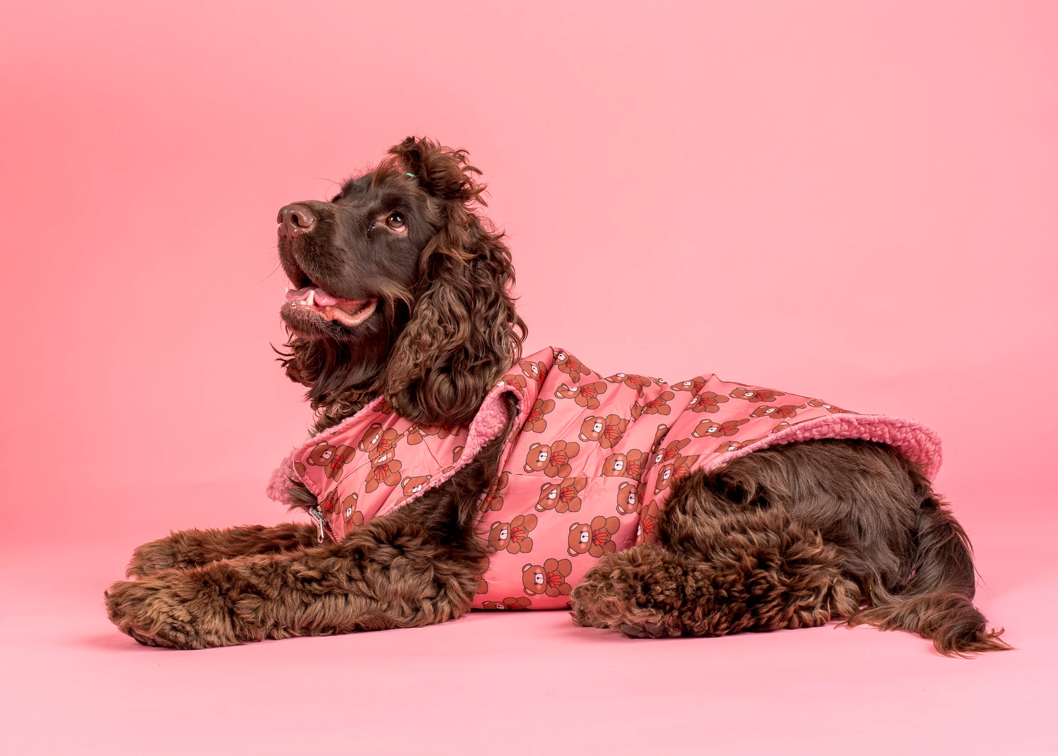 Teddies Teddy Coat: Puffer Vest - Image 5
