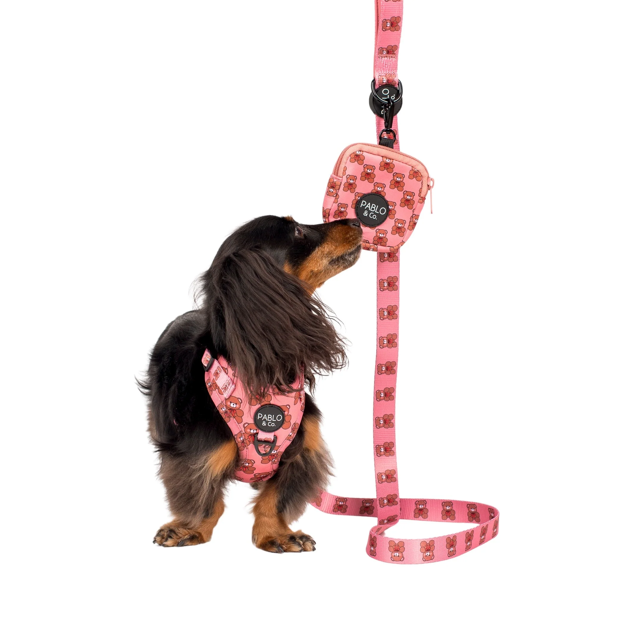 Teddies: Treat Pouch - Image 3
