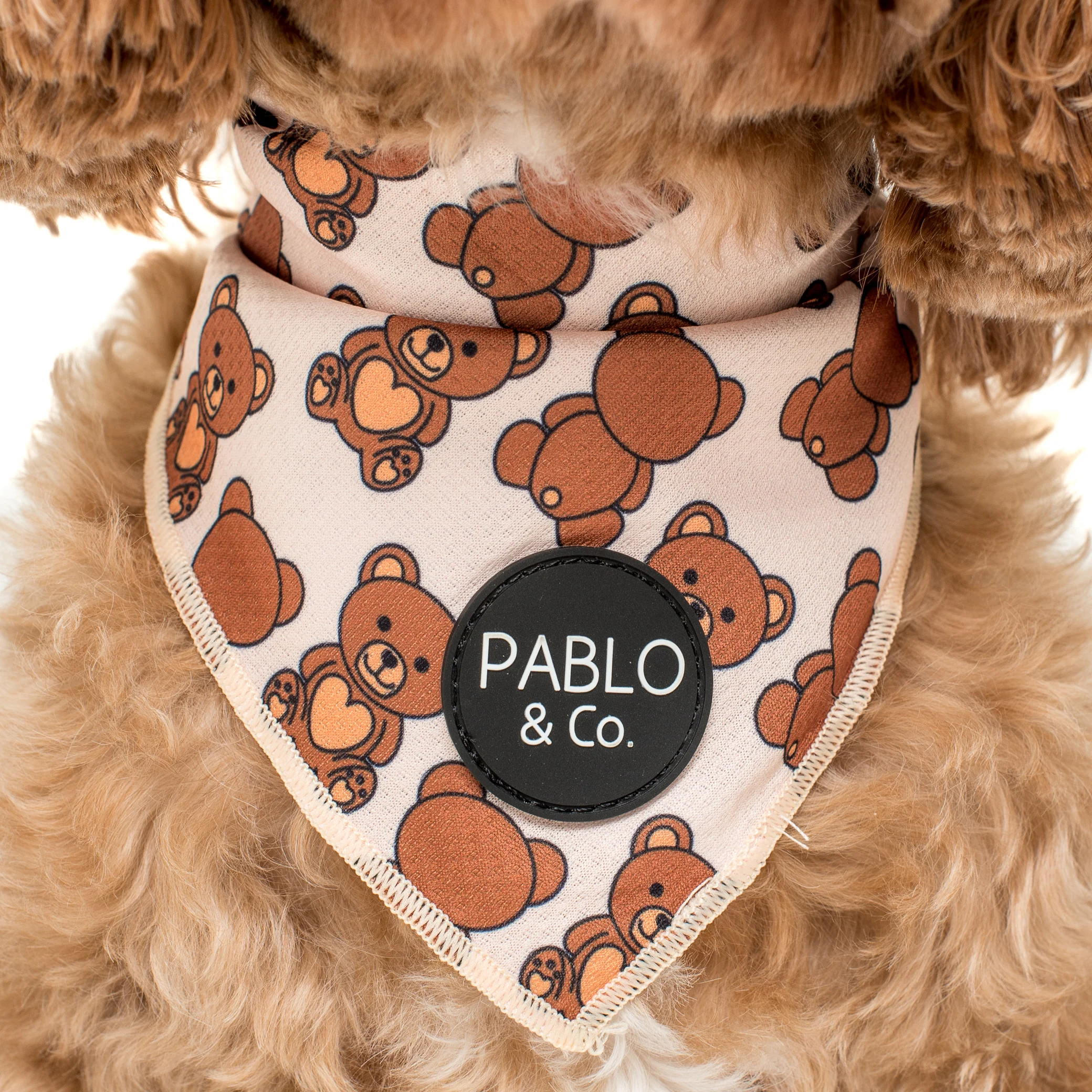 Teddy Bears Picnic - Dog Bandana - Image 2