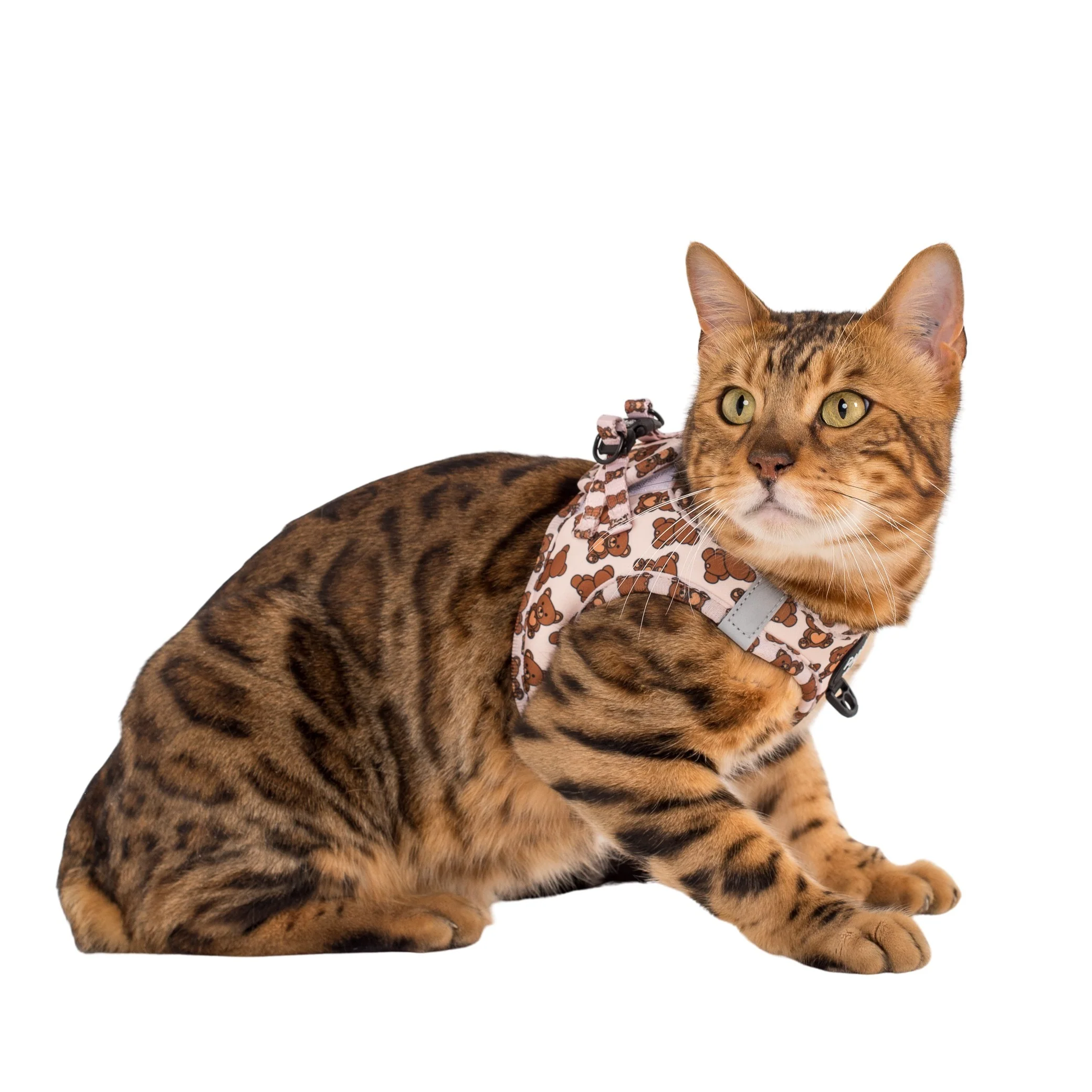 Teddy Bears Picnic: Step In Cat Harness - Image 2