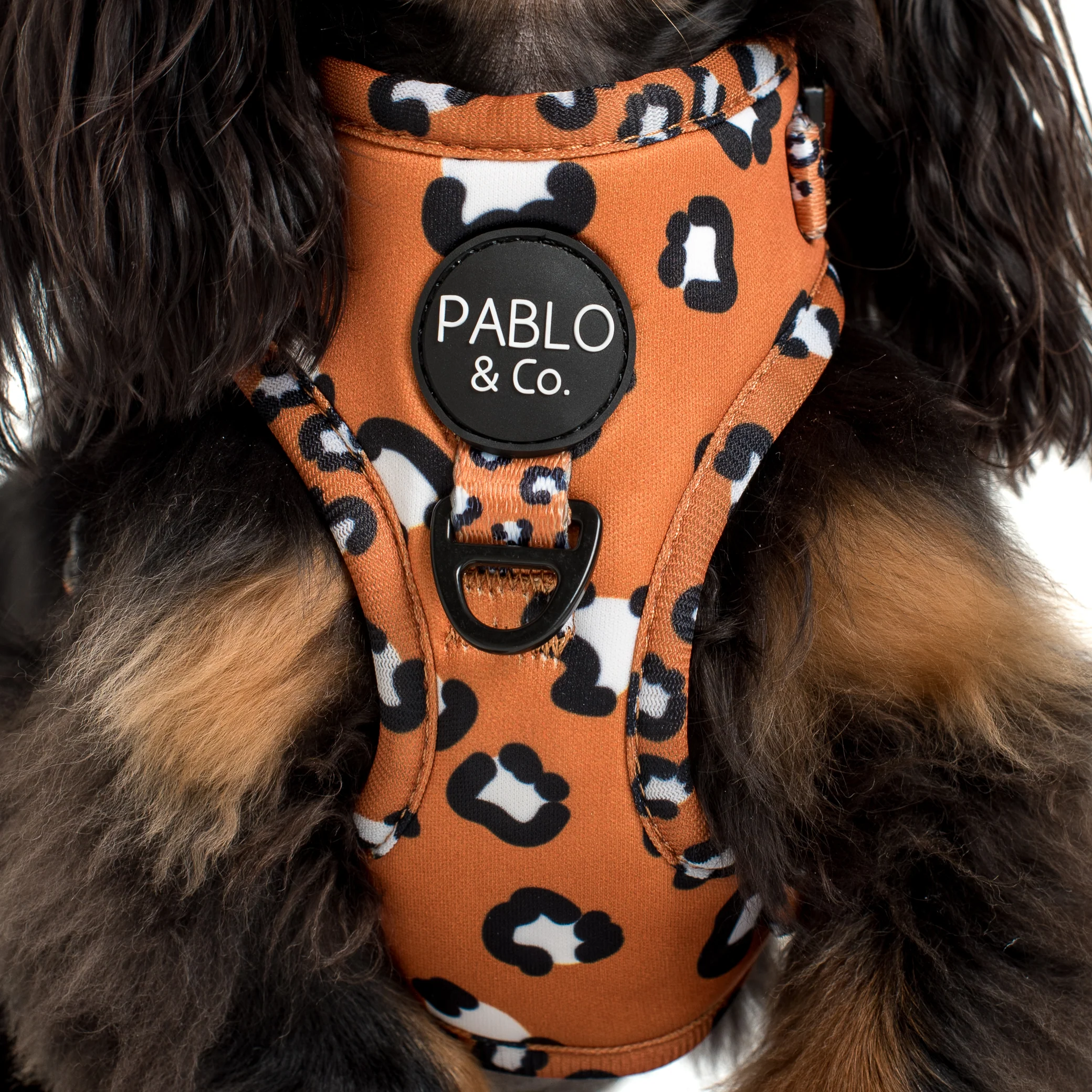 That Leopard Print: Adjustable Harness - Image 2