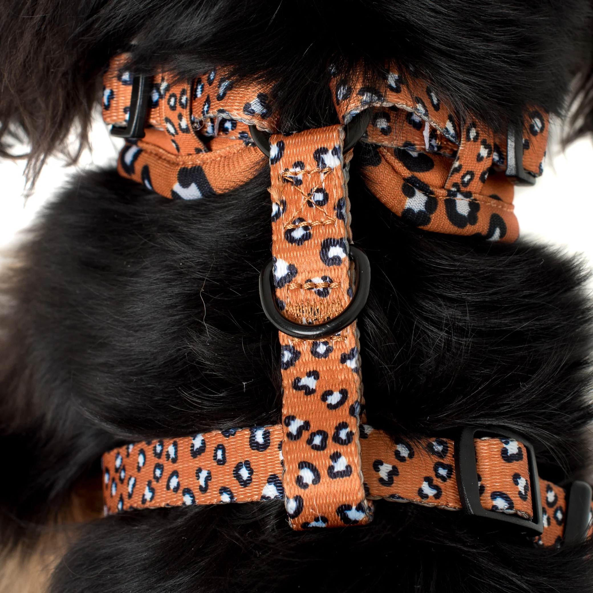 That Leopard Print: Adjustable Harness - Image 3